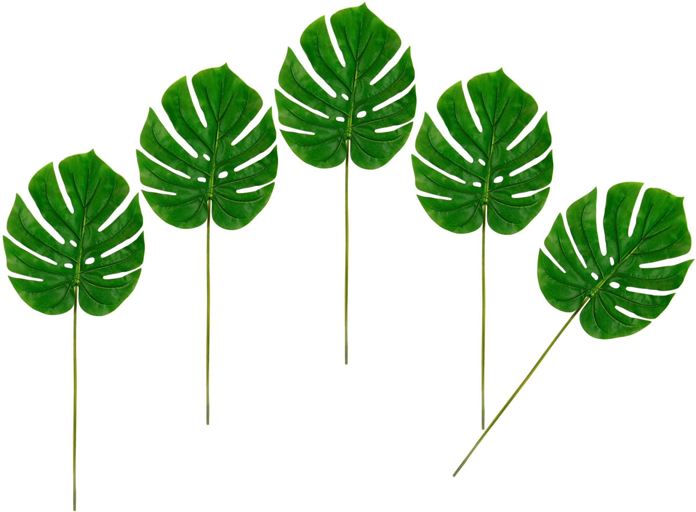 Image of I.GE.A. Kunstpflanze »Splitphiloblatt«, (5 St.), Monstera, Kunstzweig, 5er Set bei Ackermann Versand Schweiz