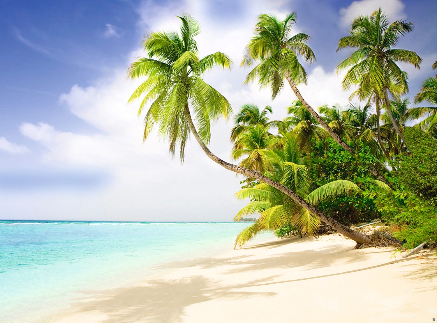 Image of Papermoon Fototapete »Beach in the South Seas« bei Ackermann Versand Schweiz