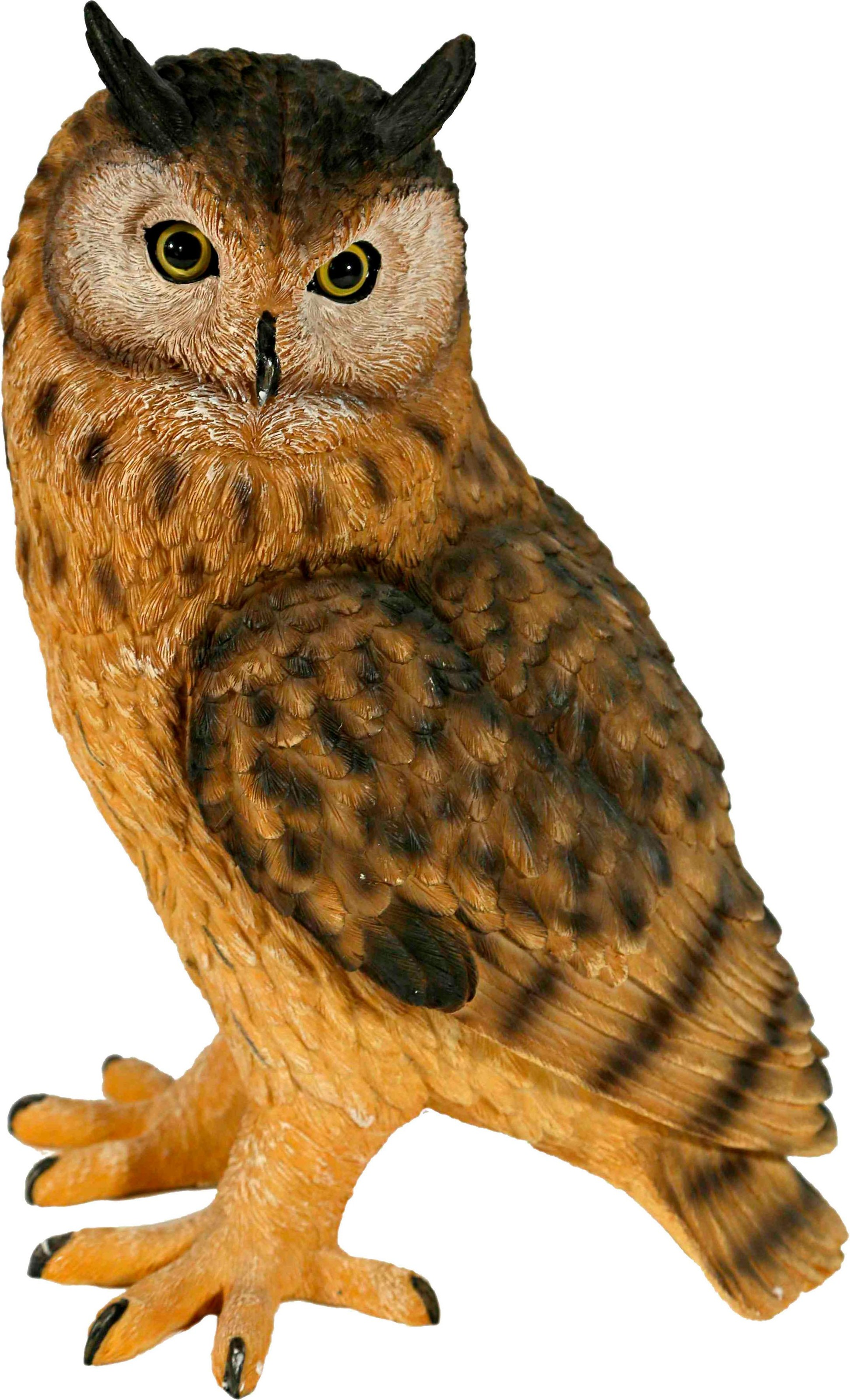 Image of Casa Collection by Jänig Tierfigur, Eule, Höhe 33,8 cm bei Ackermann Versand Schweiz