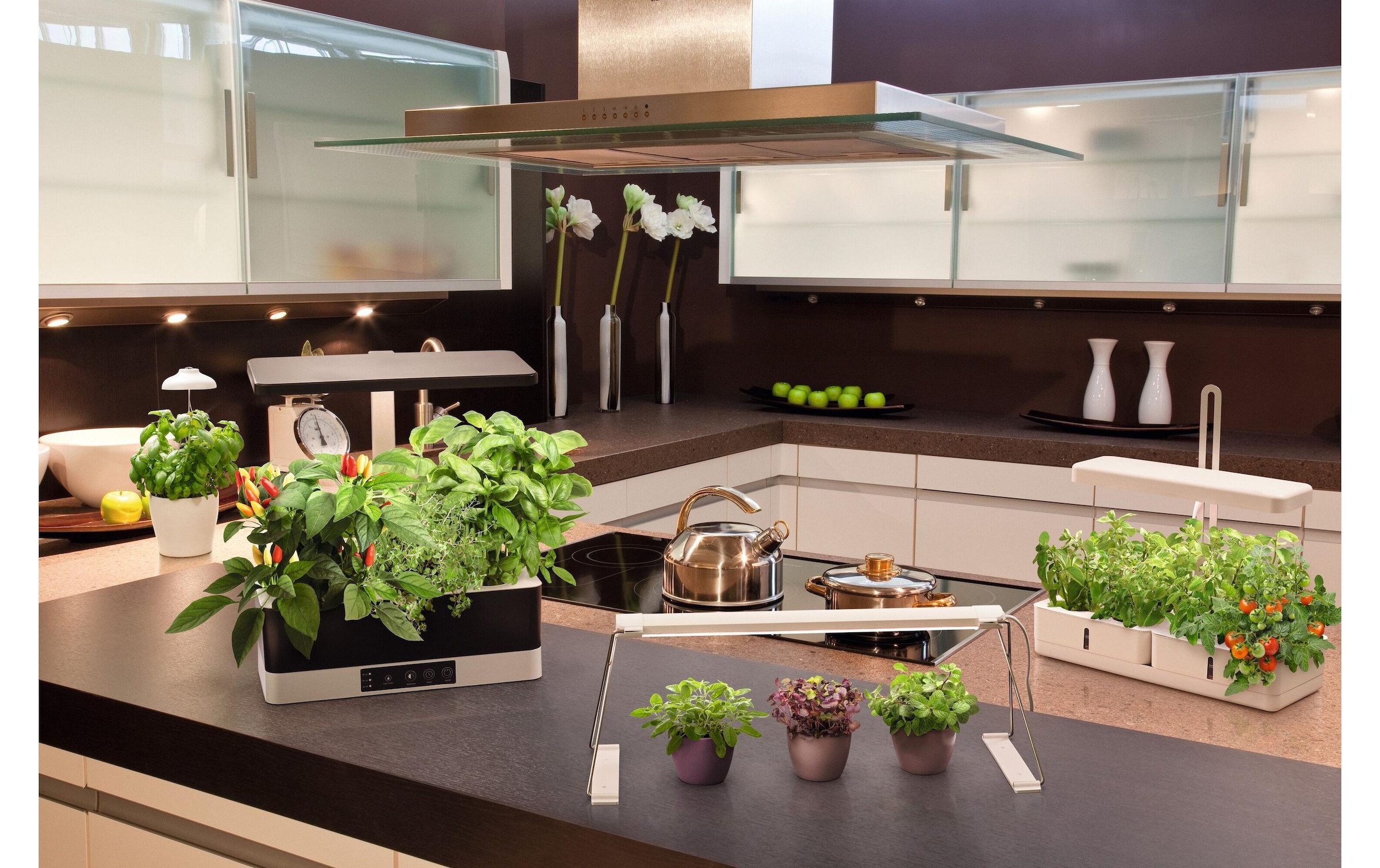 LED Pendelleuchte »Indoor«