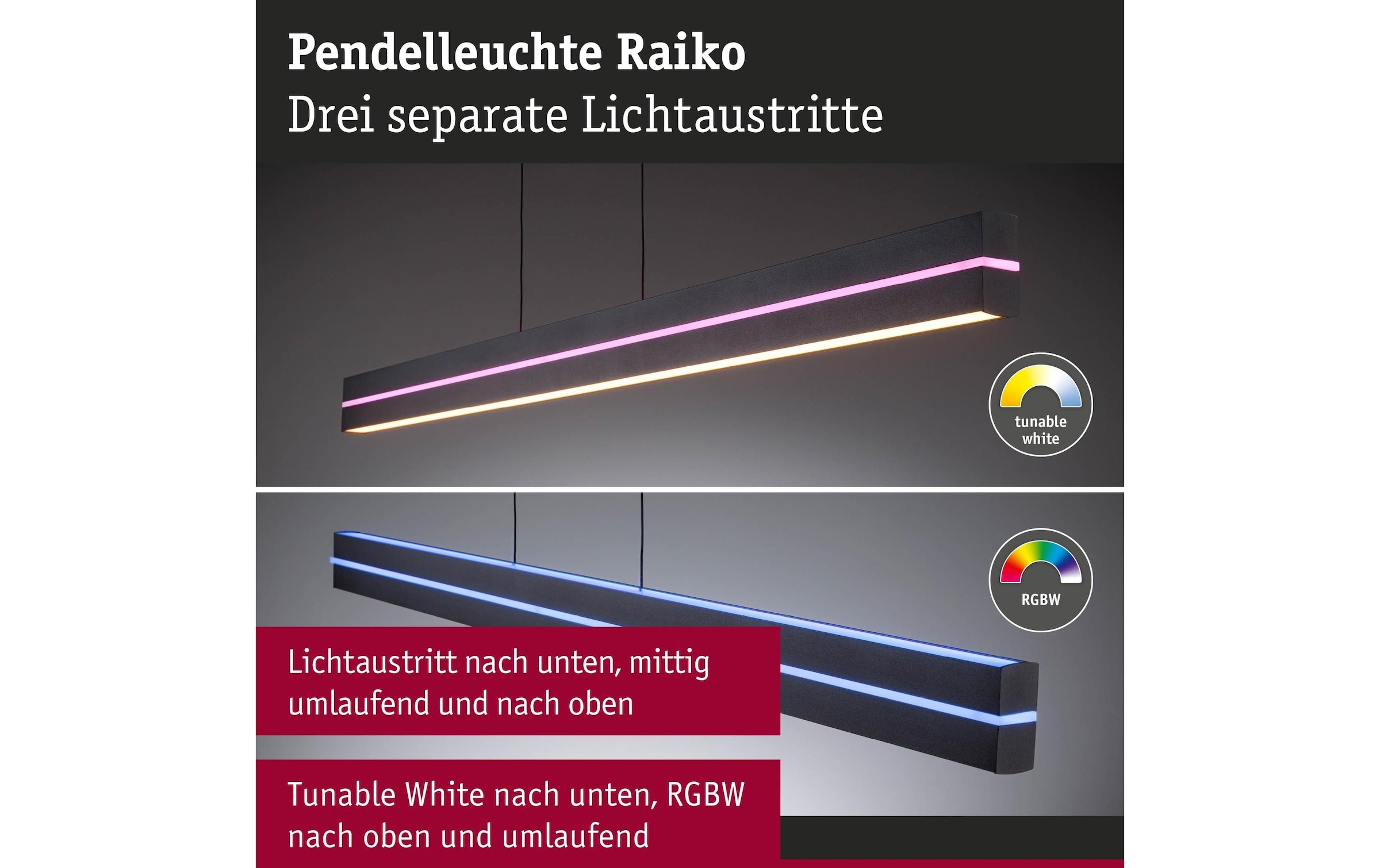 Paulmann Pendelleuchte »LED Pendelleuchte Raiko« LED-Modul RGB | warmweiss - kaltweiss
