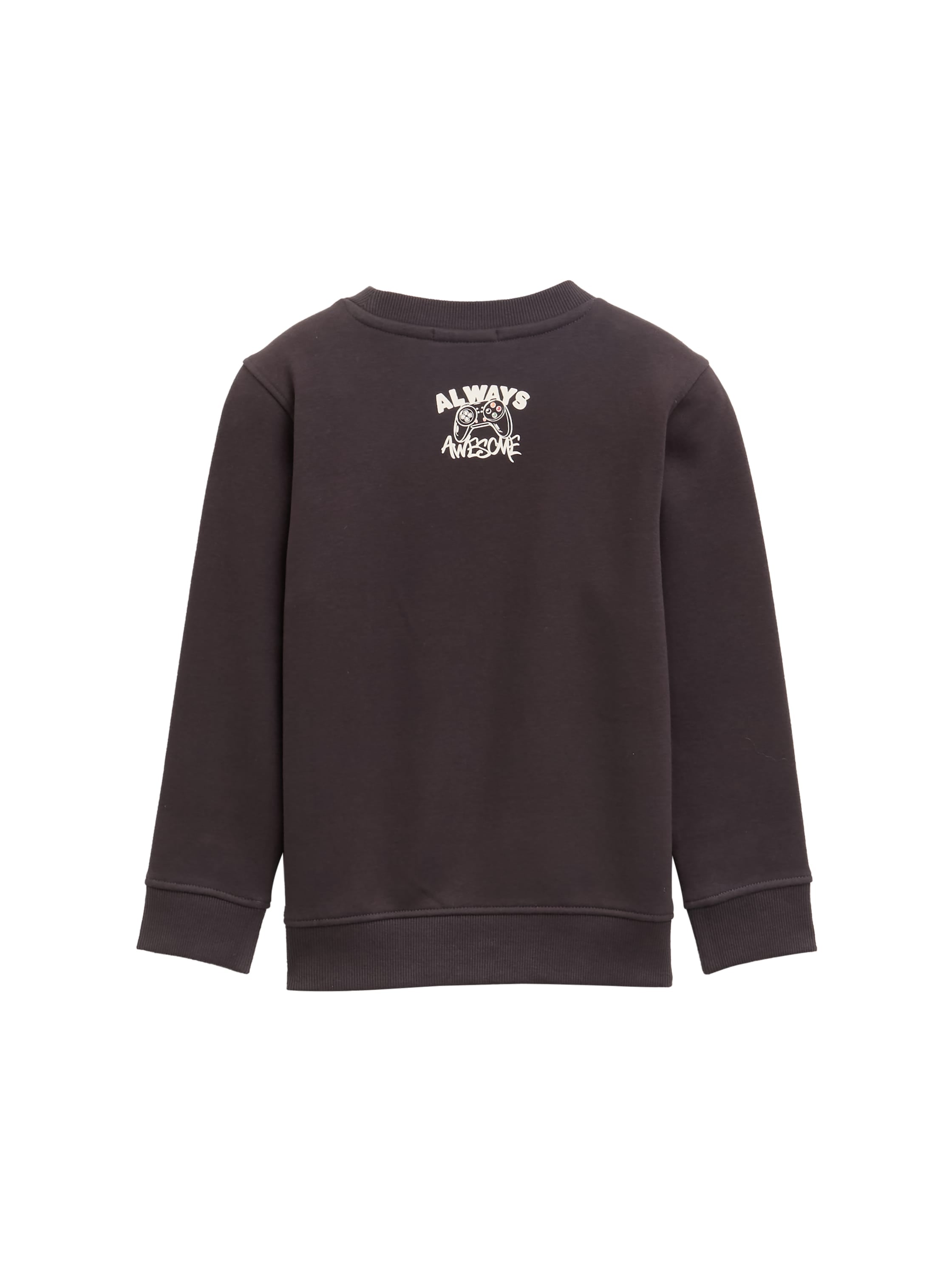 TOM TAILOR Sweater, mit Dino-Print