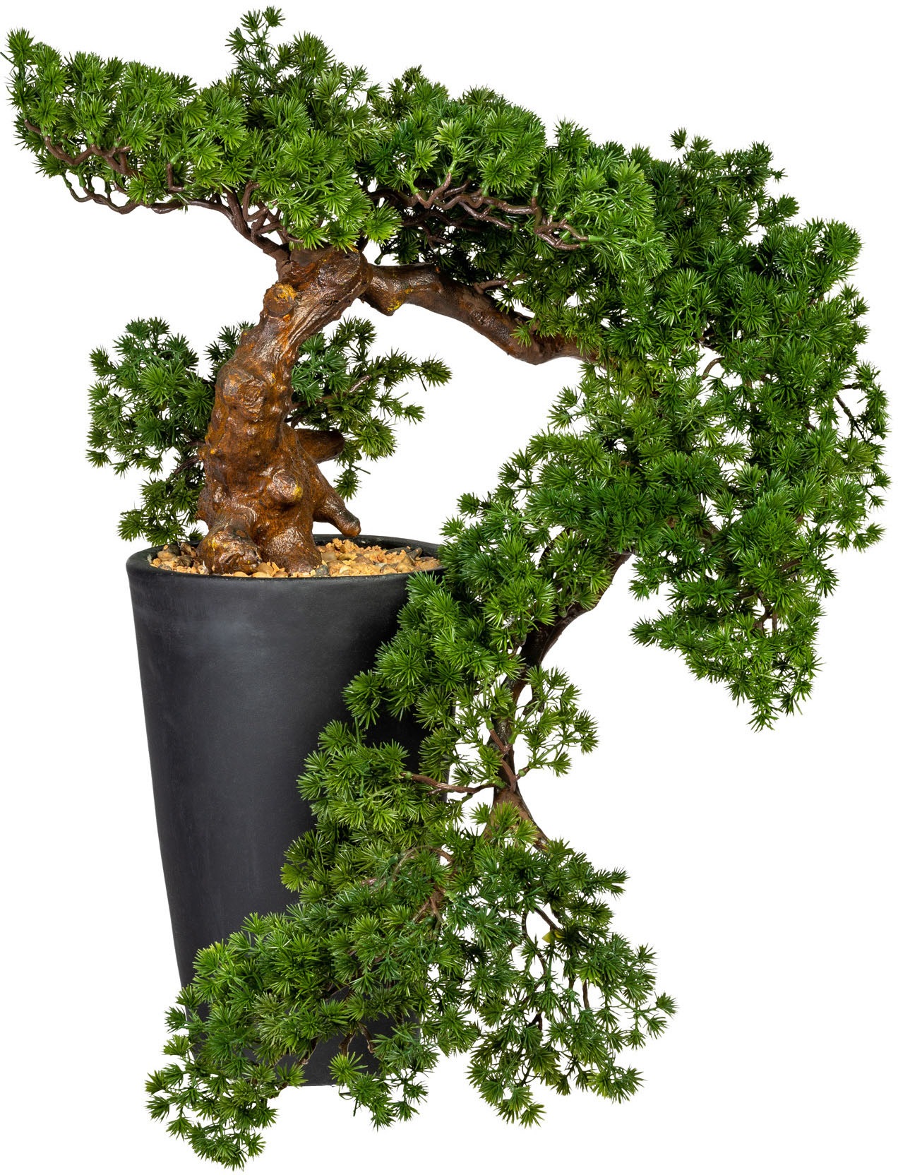 Image of Creativ green Kunstbonsai »Bonsai Lärche Han-Kengai«, (1 St.), im Magnesiatopf bei Ackermann Versand Schweiz