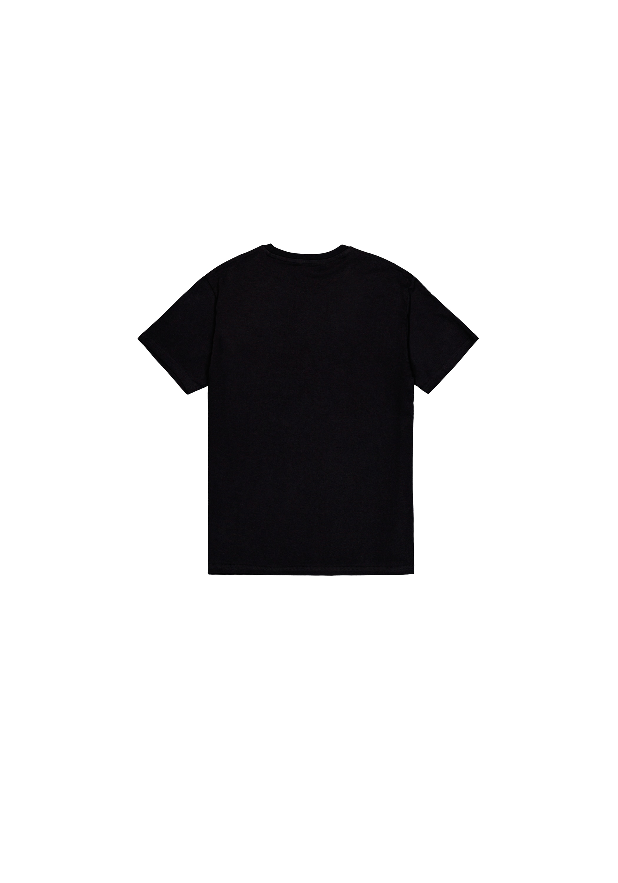 Alpha Industries T-shirt »Flying Buzz SL T-Shirt«