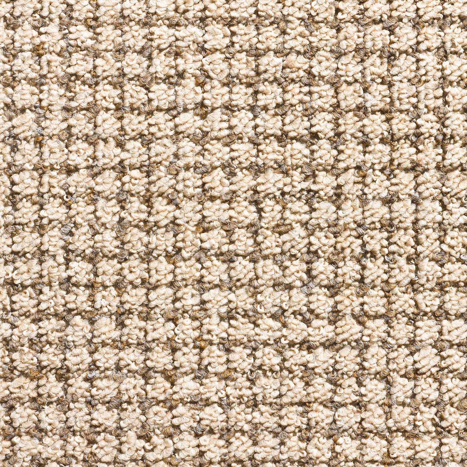 Image of Andiamo Teppichboden »Carl«, rechteckig, 6 mm Höhe, Meterware, Breite 400 cm, Schlinge mit Struktur, schallschluckend, Wohnzimmer bei Ackermann Versand Schweiz