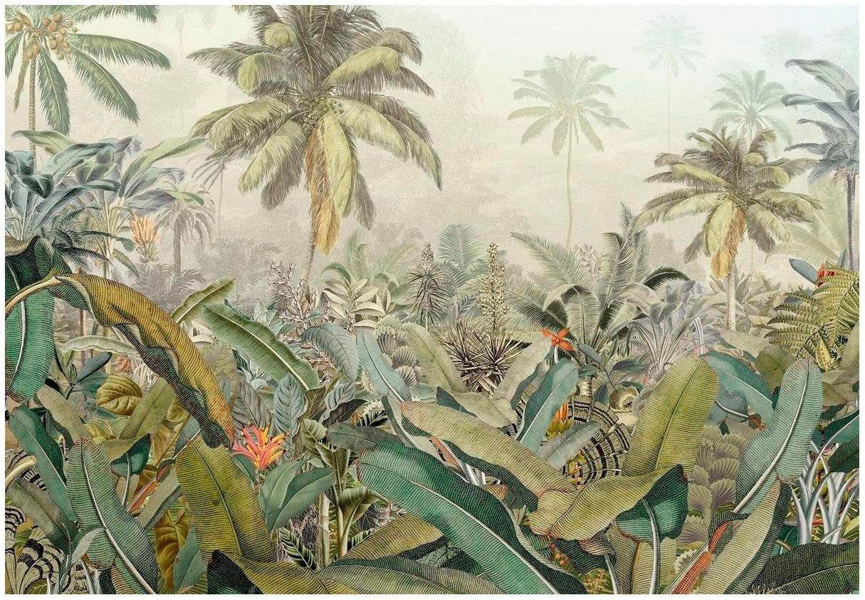 Vliestapete »Amazonia«, 368x248 cm (Breite x Höhe), inklusive Kleister