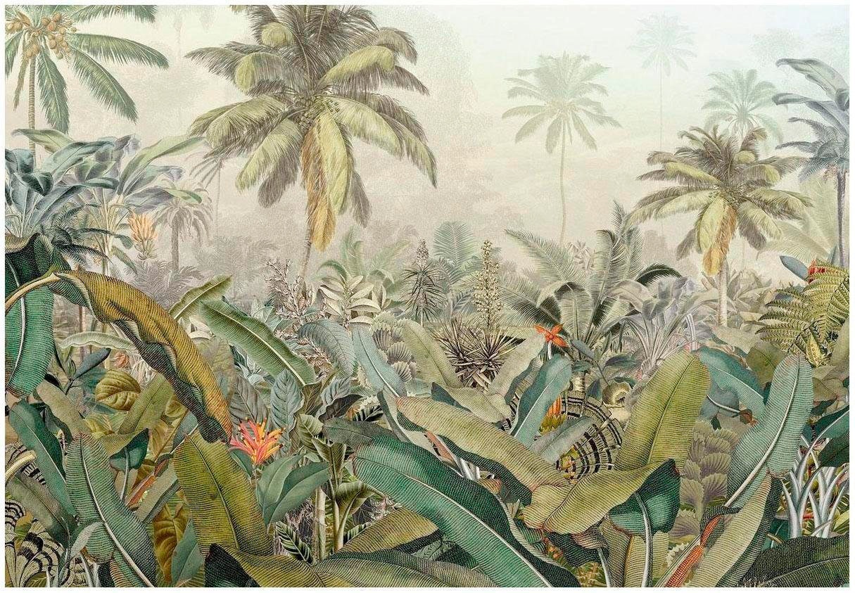 Image of Komar Vliestapete "Vlies - Amazonia - Grösse 368 x 248 cm" bedruckt glatt Wohnzimmer, Schlafzimmer