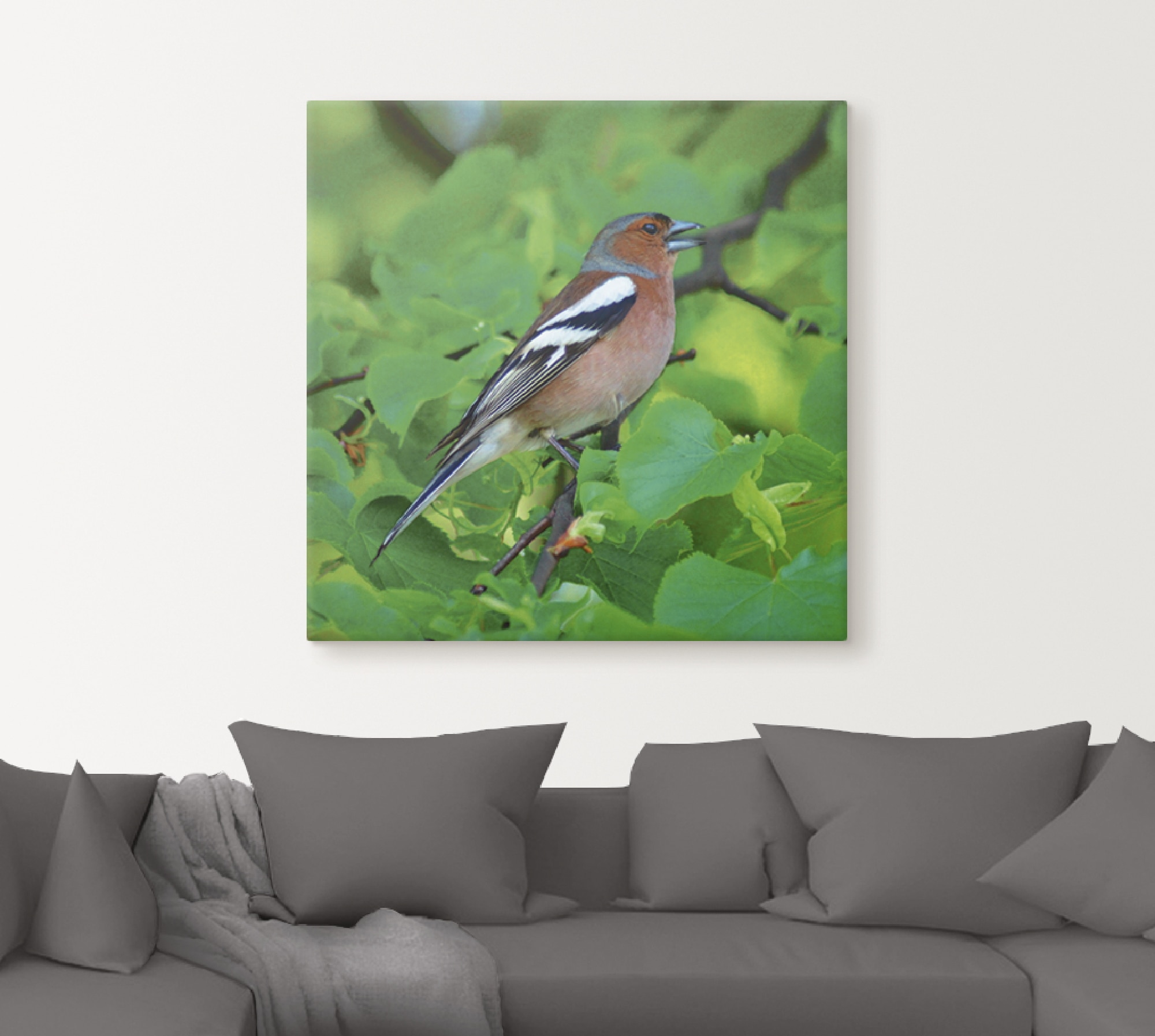 Artland Wandbild »Buchfink Lied«, Vögel, (1 St.), als Leinwandbild, Poster in verschied. Grössen