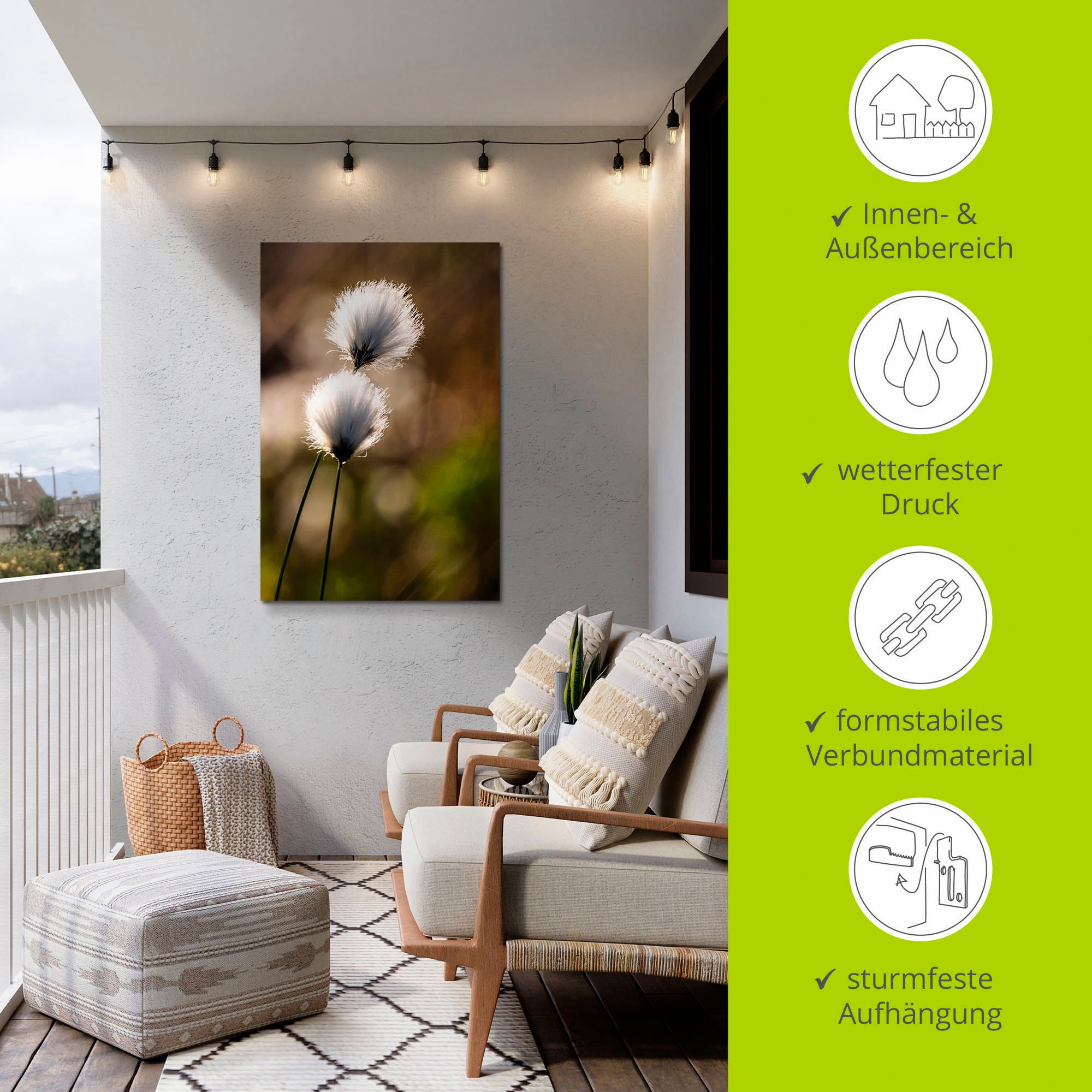 Artland Wandbild »Wollgras I«, Gräser, (1 St.), als Alubild, Outdoorbild, Leinwandbild, Poster in verschied. Grössen