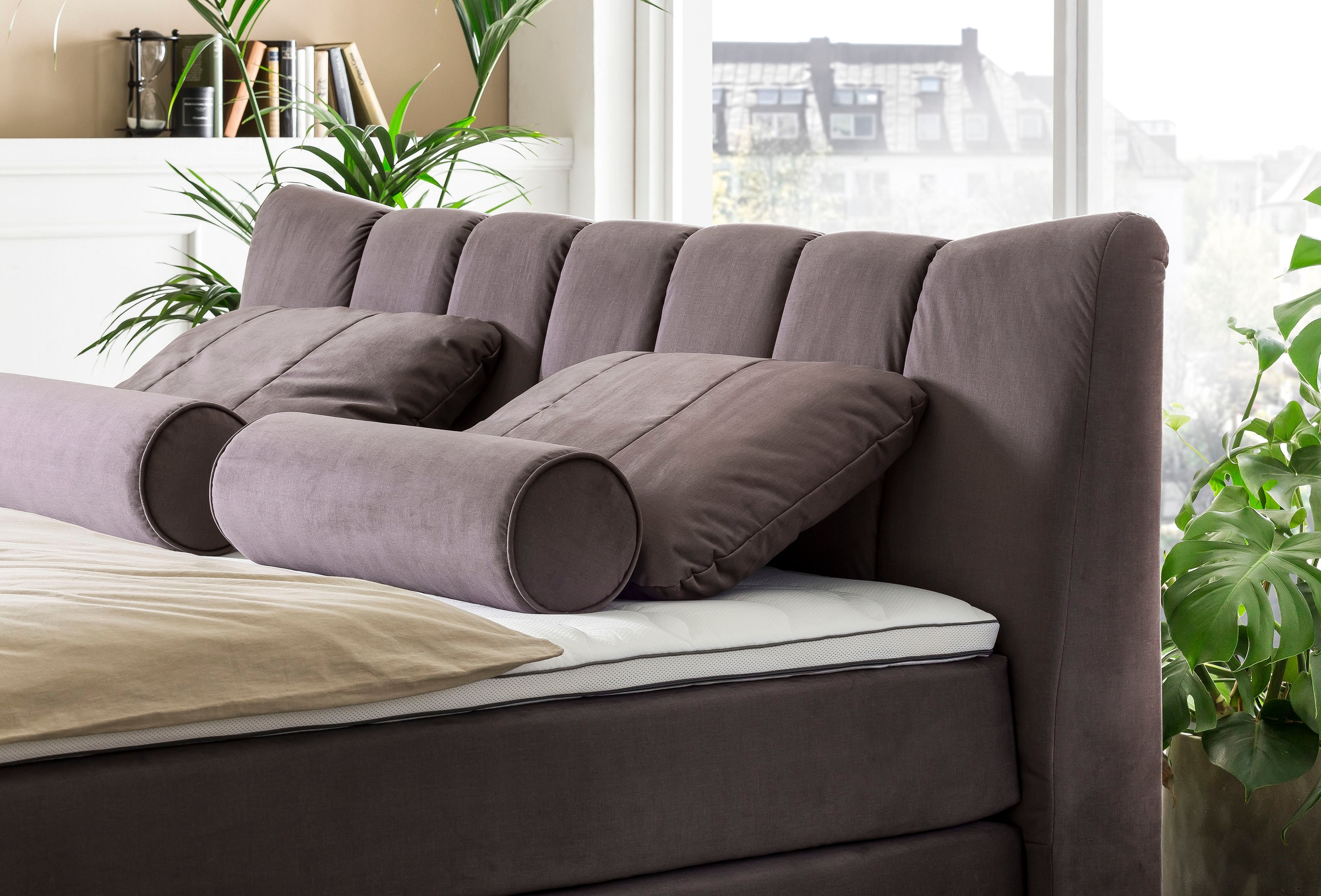 Image of Leonique Dekokissen »Océane«, (2 St., passend zum Bett Océane Samtvelours in Farbe Darkgrey), passend zum Bett Oceáne in Samtvelours und Feinstruktur, 2-er Set bei Ackermann Versand Schweiz