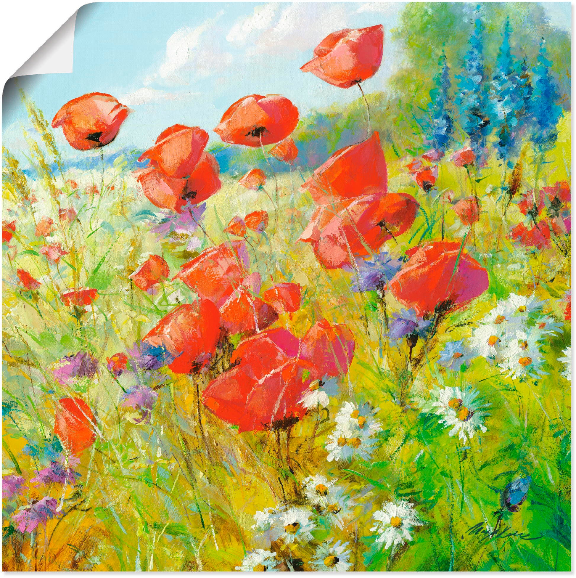 mit Alubild, günstig Wandbild oder »Sommerwiese Wandaufkleber Artland (1 Leinwandbild, Mohnblumen«, als Poster Grössen kaufen versch. Blumenwiese, St.), in