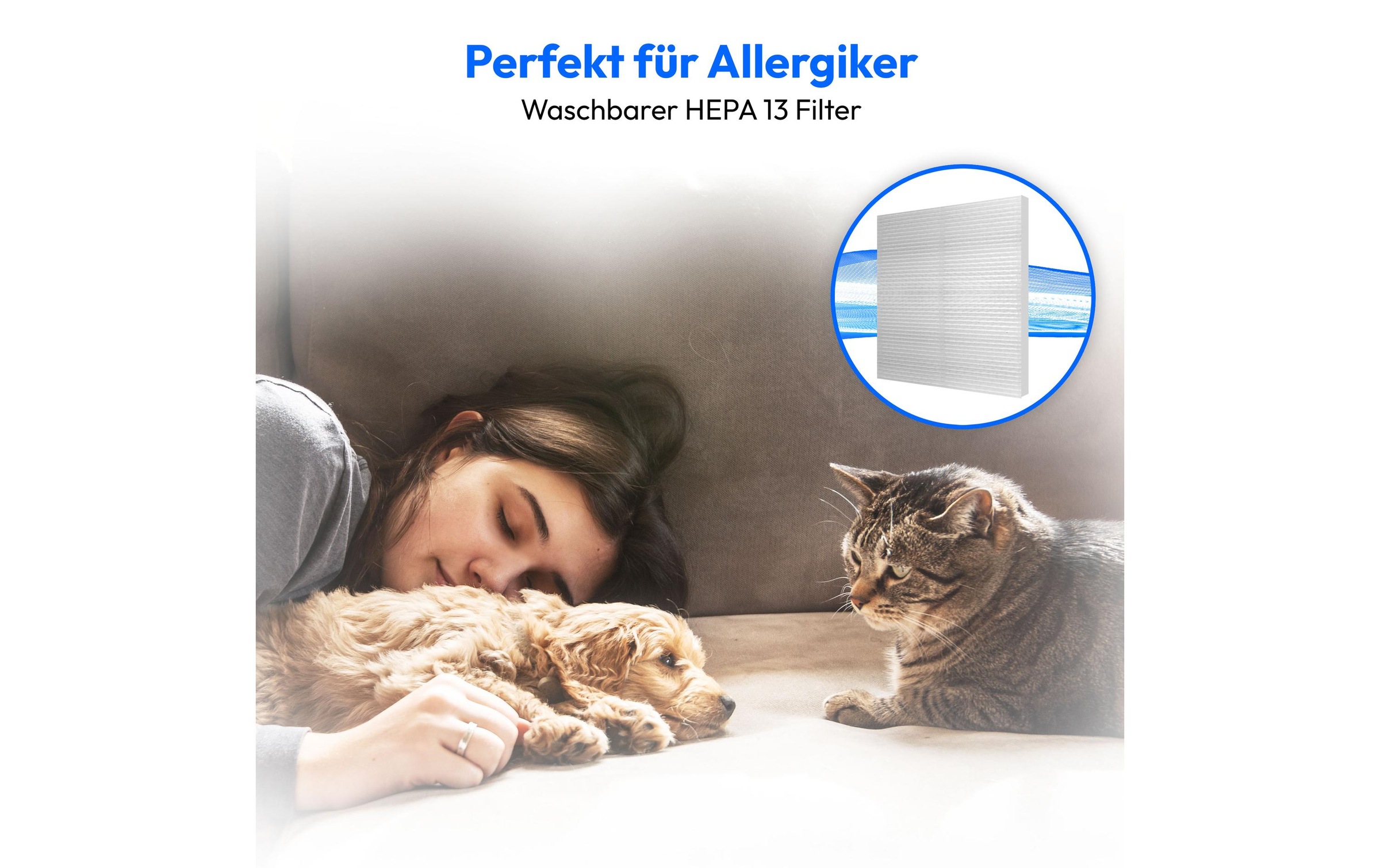 Medion® Aspirateur pour sols »MD12078« 800 W