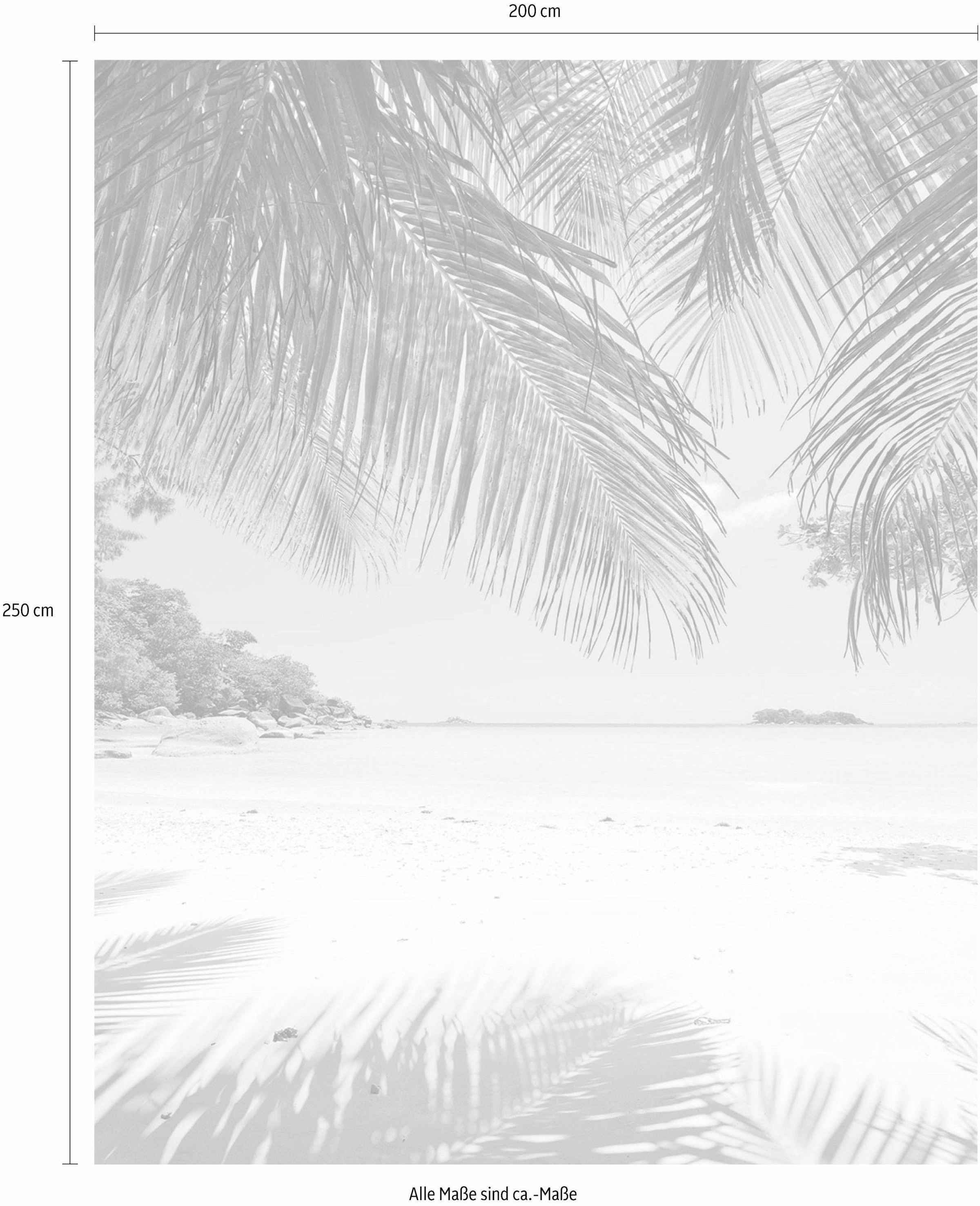 ♕ Komar Vliestapete »Under The Palmtree«, 200x250 cm (Breite x Höhe),  Vliestapete, 100 cm Bahnbreite versandkostenfrei auf
