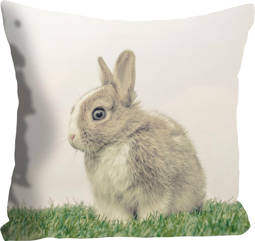 queence Coussin décoratif »Costas« mit einem Hasen auf der Wiese