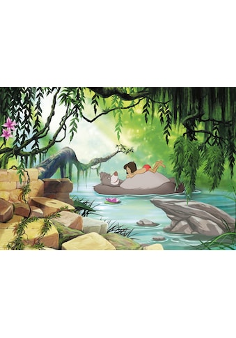Fototapete »Jungle book swimming with Baloo«