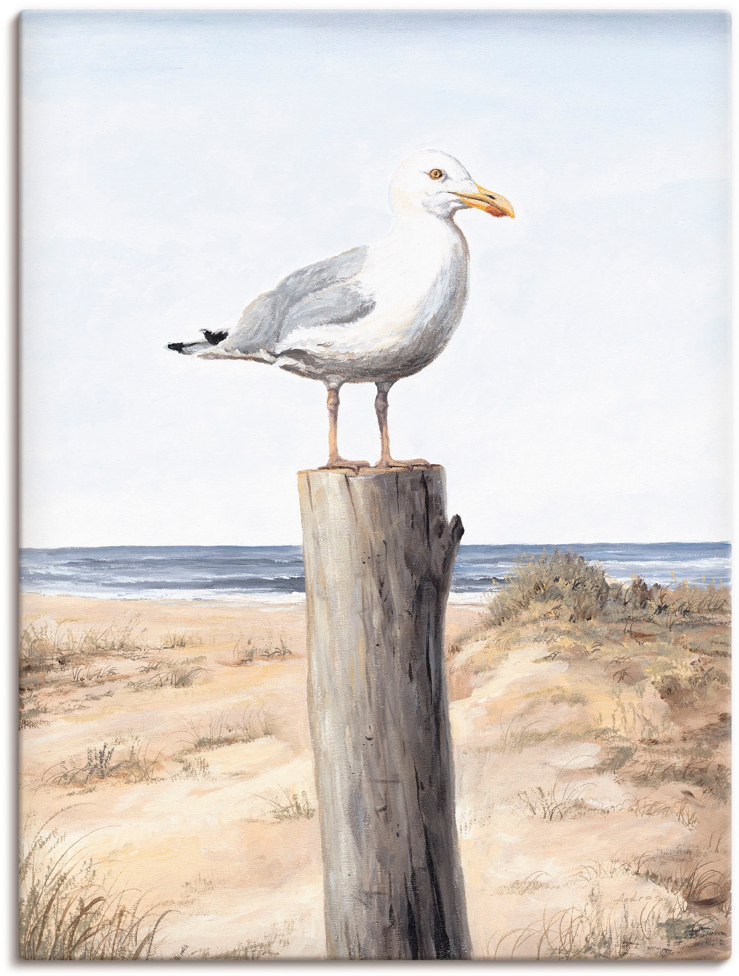Image of Artland Wandbild "Möwe" Vögel 1 Stk. tlg. als Alubild, Leinwandbild, Poster in verschied. Grössen