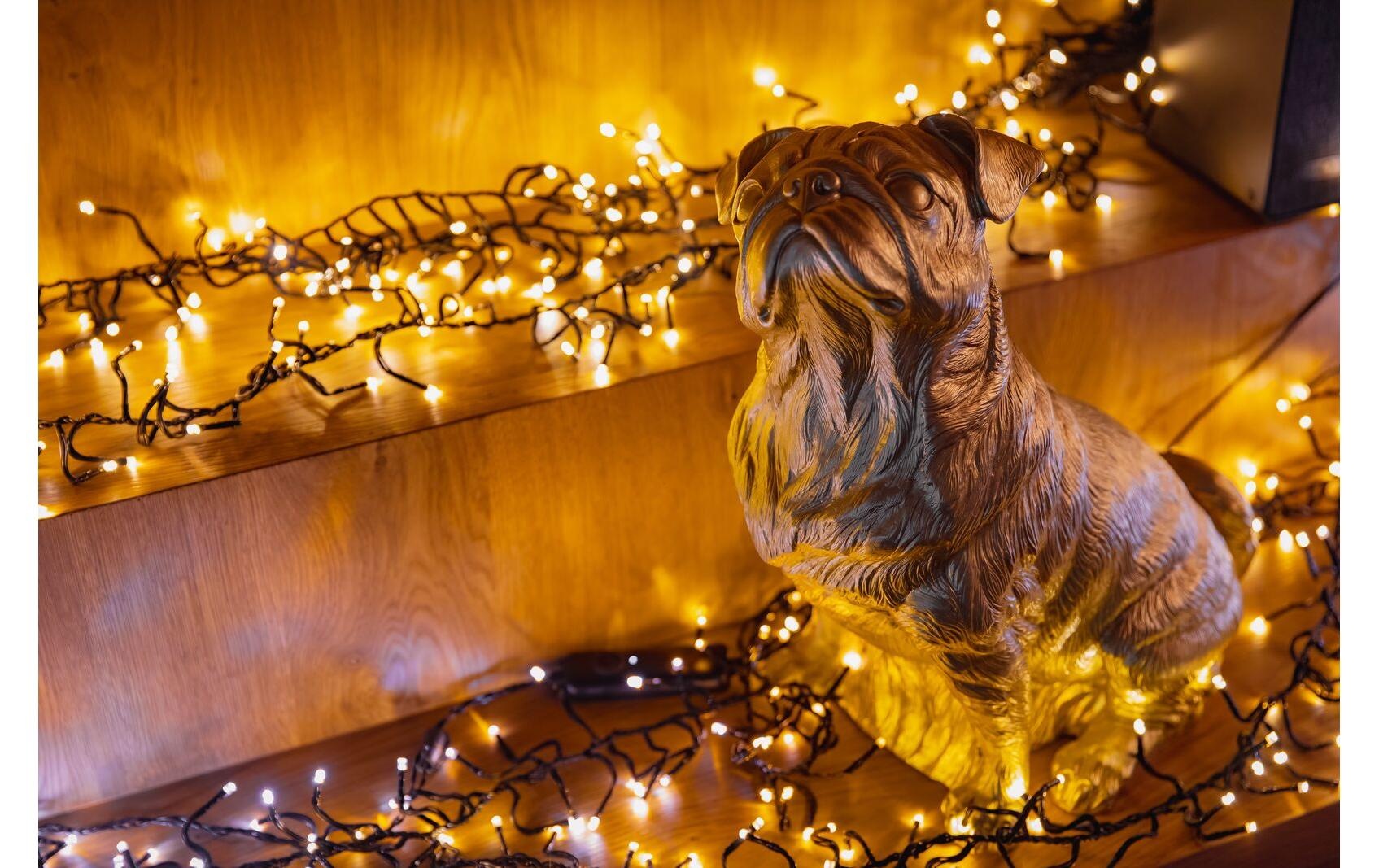 LED-Lichterkette »Twinkly Cluster, 400LEDs, RGB, 6 meter long«, 400 St.-flammig
