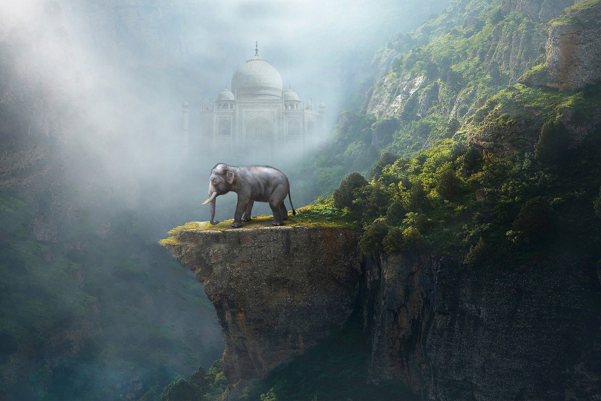 Image of Papermoon Fototapete "Indischer Elefant Taj Mahal"