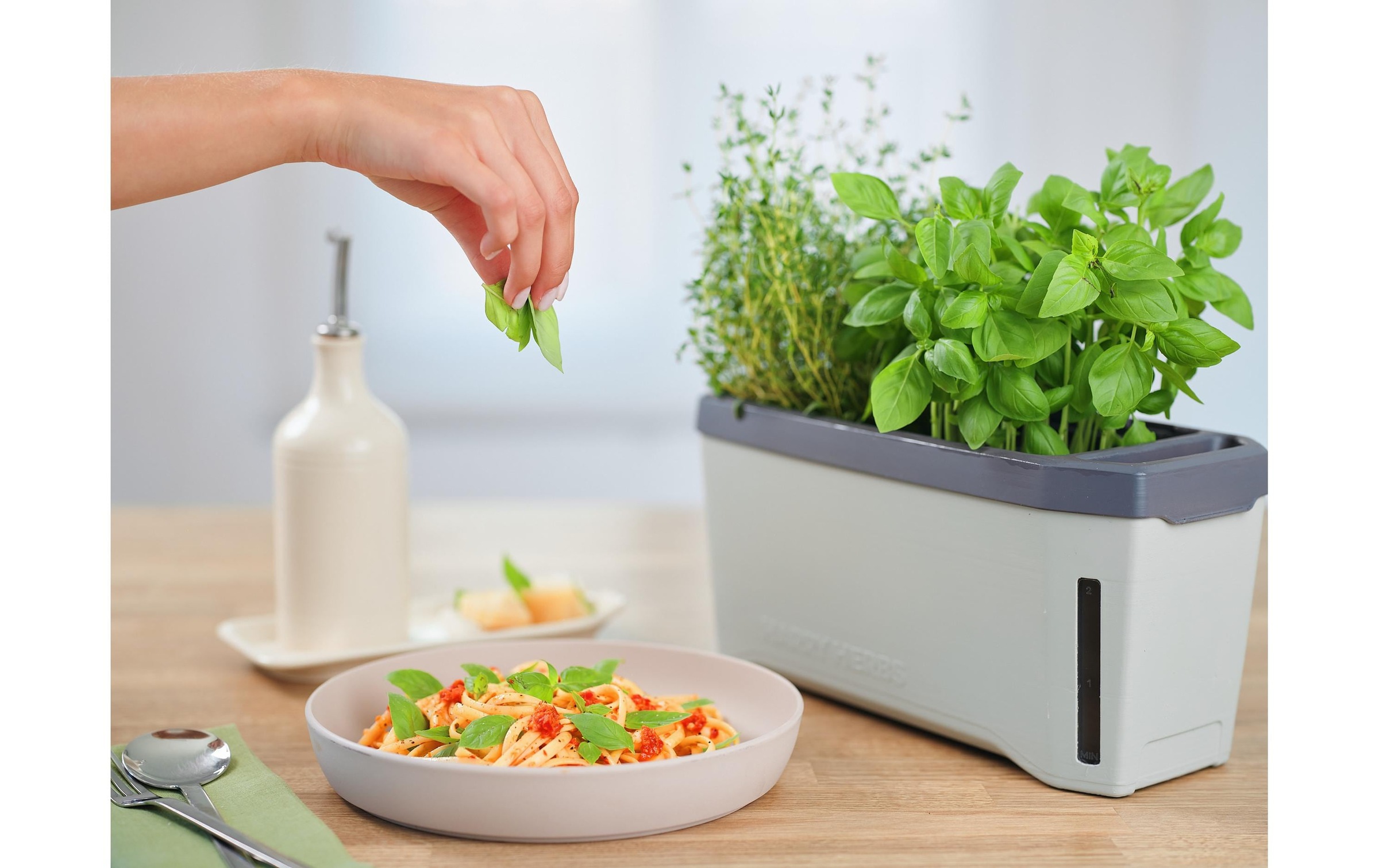 Gusta Garden Kräutertopf »HERBS hellgrau«