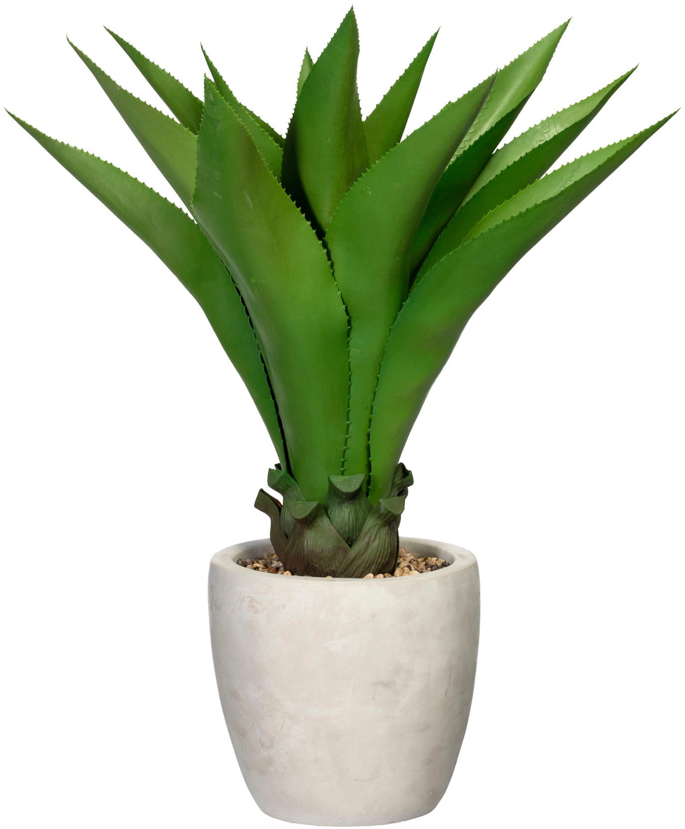 green Zimmerpflanze Creativ »Agave«, im Künstliche kaufen Zementtopf