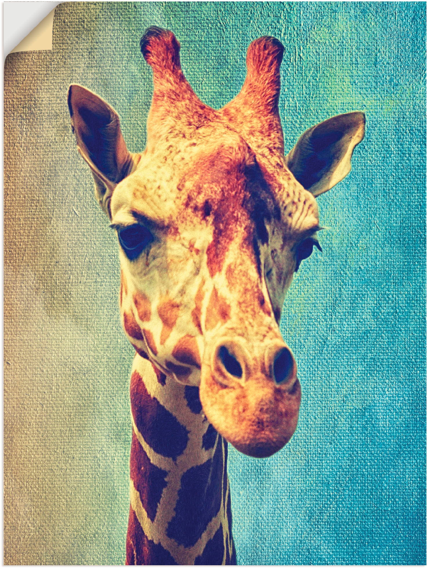 Artland Wandbild »Die Giraffe«, Wildtiere, (1 St.), als Leinwandbild,  Wandaufkleber oder Poster in versch. Grössen bequem kaufen