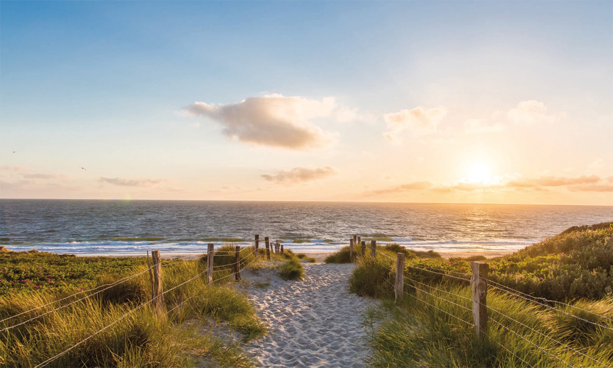 Image of Bönninghoff Leinwandbild "Wandbild STRAND – Leinwandbild Keilrahmen Deko modern" Düne Meer Strand 1 Stk. tlg. auf Keilrahmen gespannt