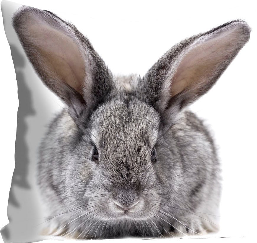 queence Dekokissen »Sixten«, (1 St.), mit einem flauschigen Hasen kaufen