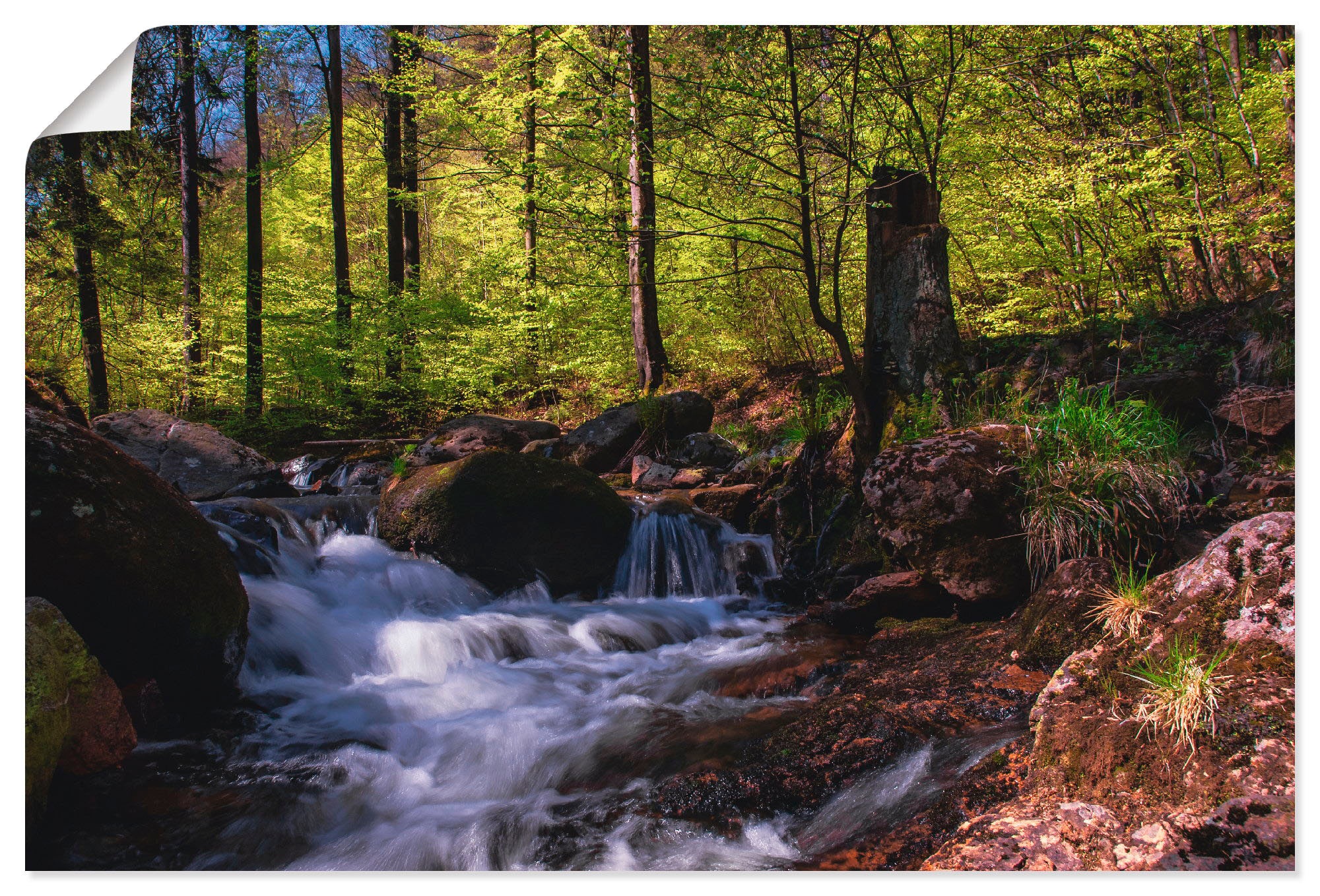 Image of Artland Wandbild »Ilsetal im Harz II«, Wald, (1 St.), in vielen Grössen & Produktarten - Alubild / Outdoorbild für den Aussenbereich, Leinwandbild, Poster, Wandaufkleber / Wandtattoo auch für Badezimmer geeignet bei Ackermann Versand Schweiz