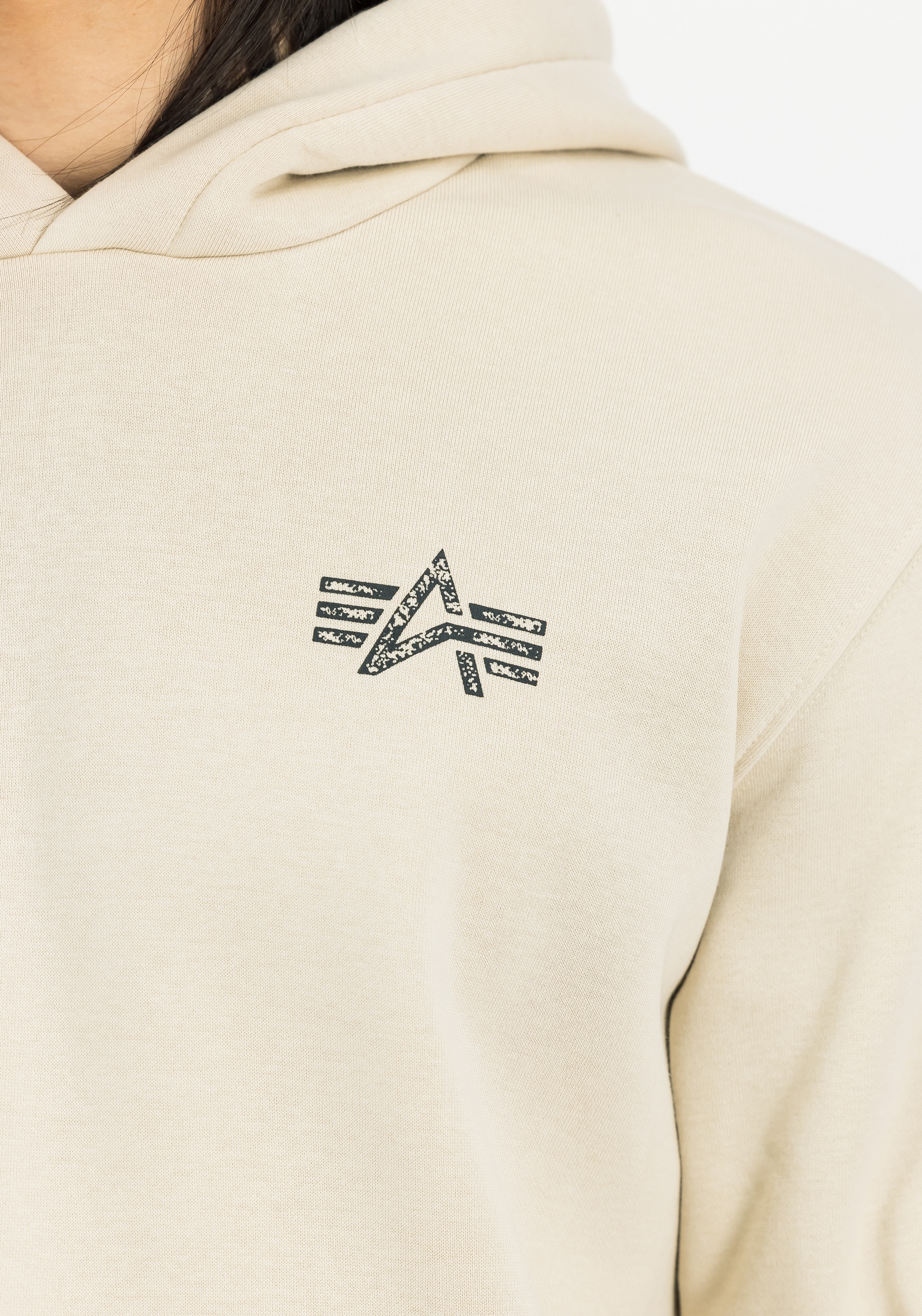 Alpha Industries Hoodie »Signature Backprint Hoodie«