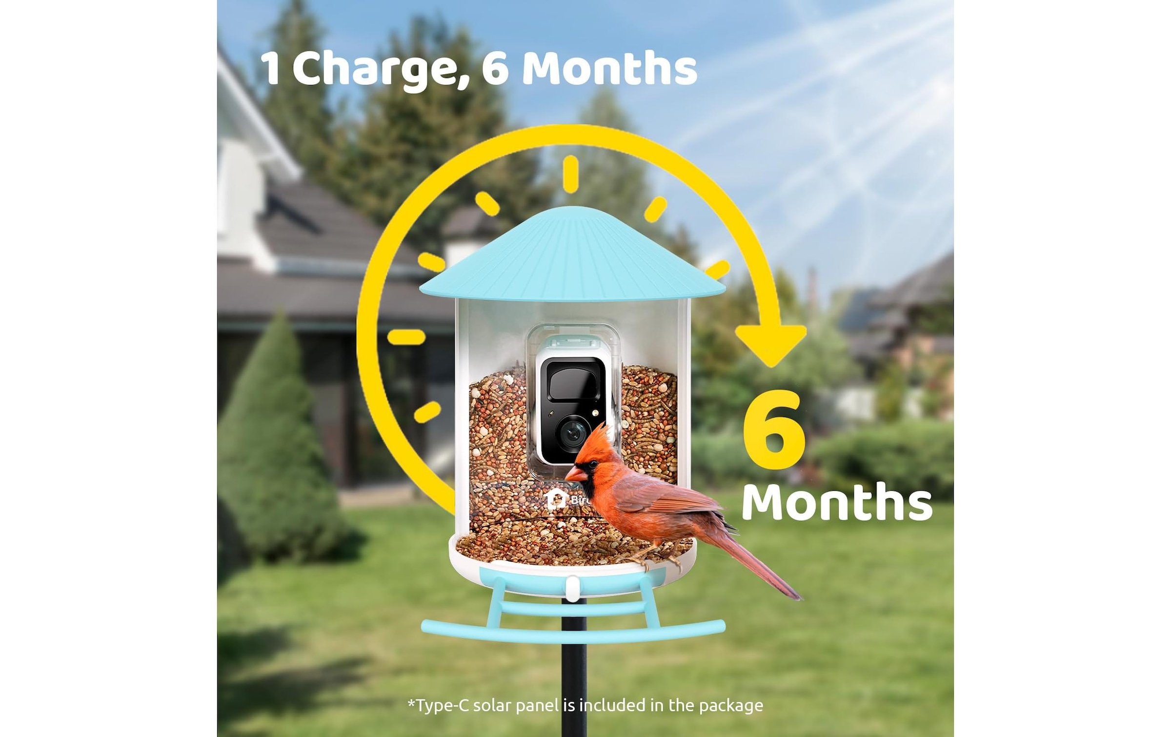 Birdfy Distributeur de nourriture »Basic Solar«