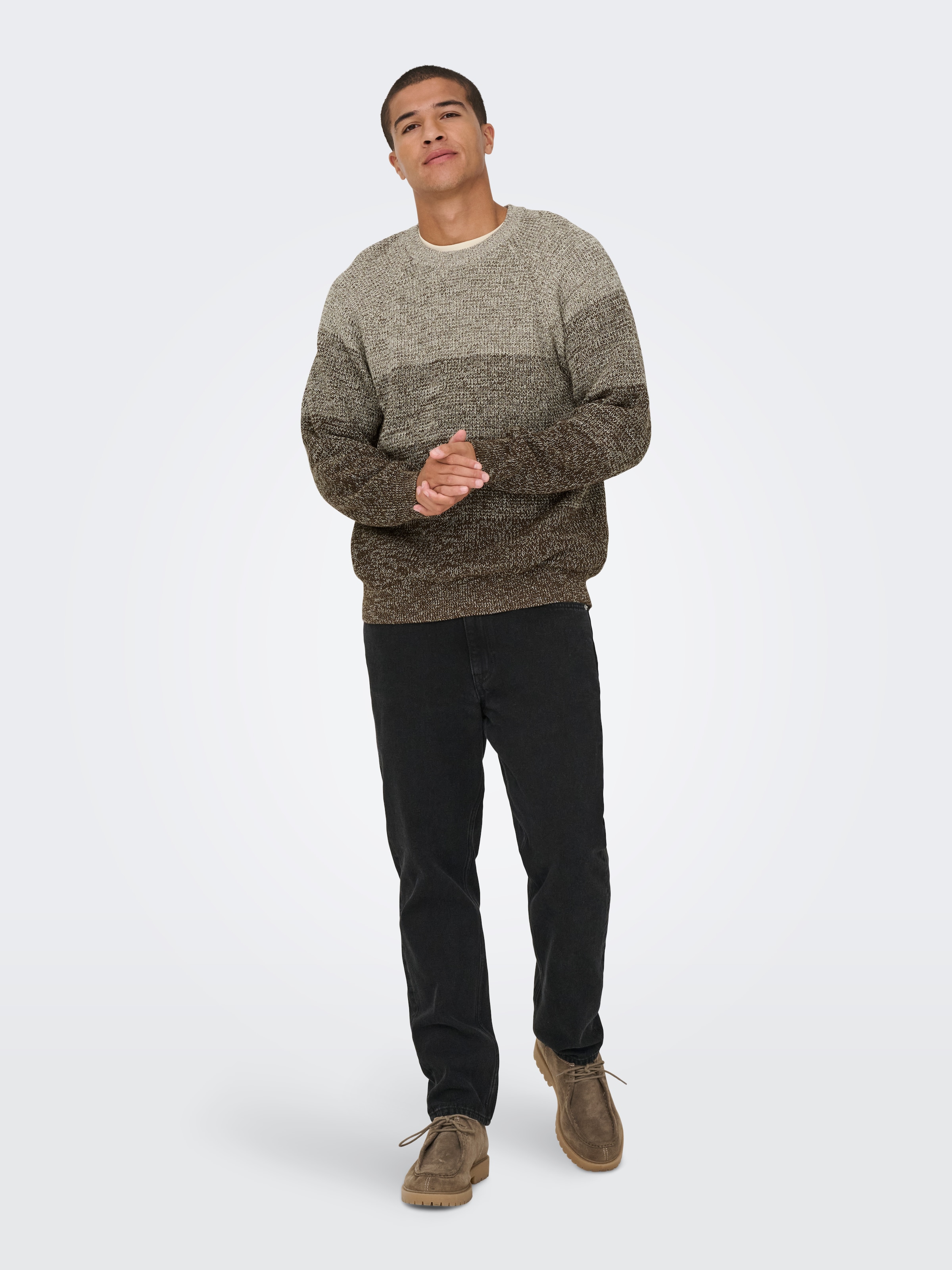 ONLY & SONS Pull à col rond »ONSBIRK RLX LS RAGLAN KNIT CAMP«