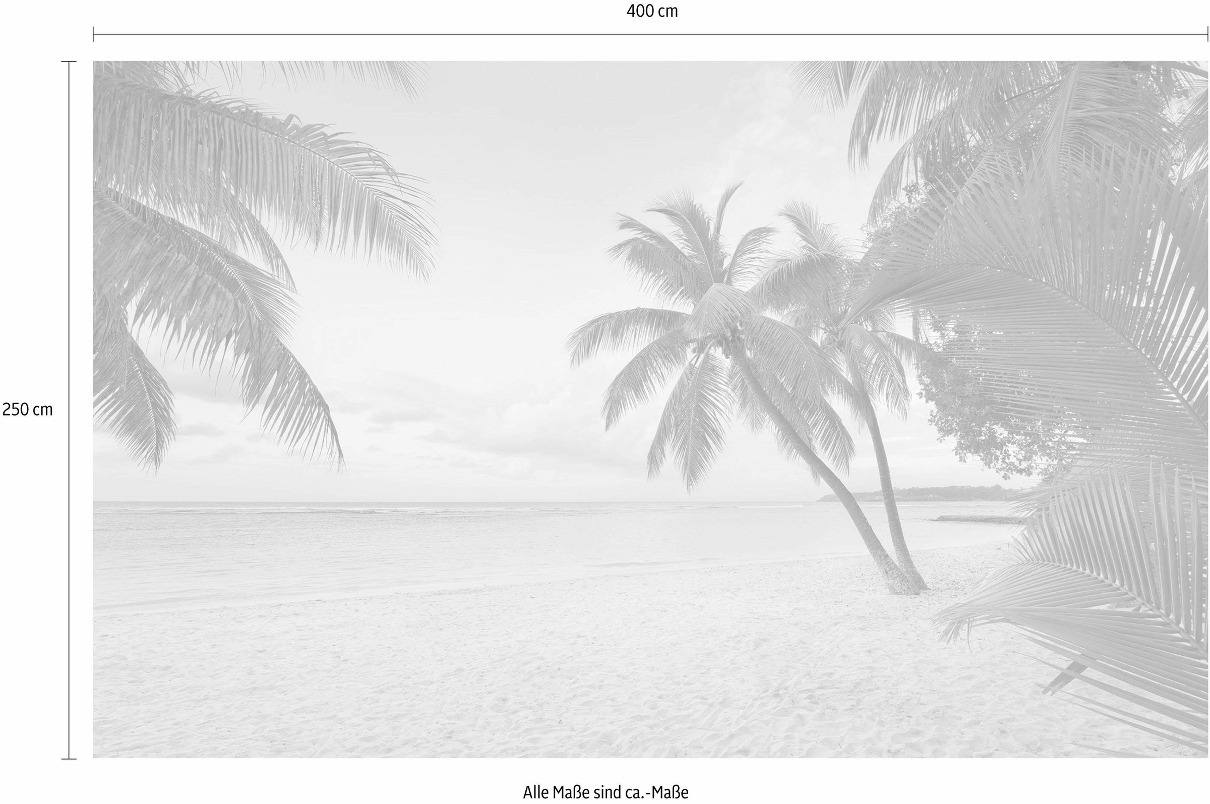 Komar Vliestapete »Digitaldruck Vlies - Paradise Morning - Grösse 400 x 250 cm«, bedruckt, Wohnzimmer, Schlafzimmer