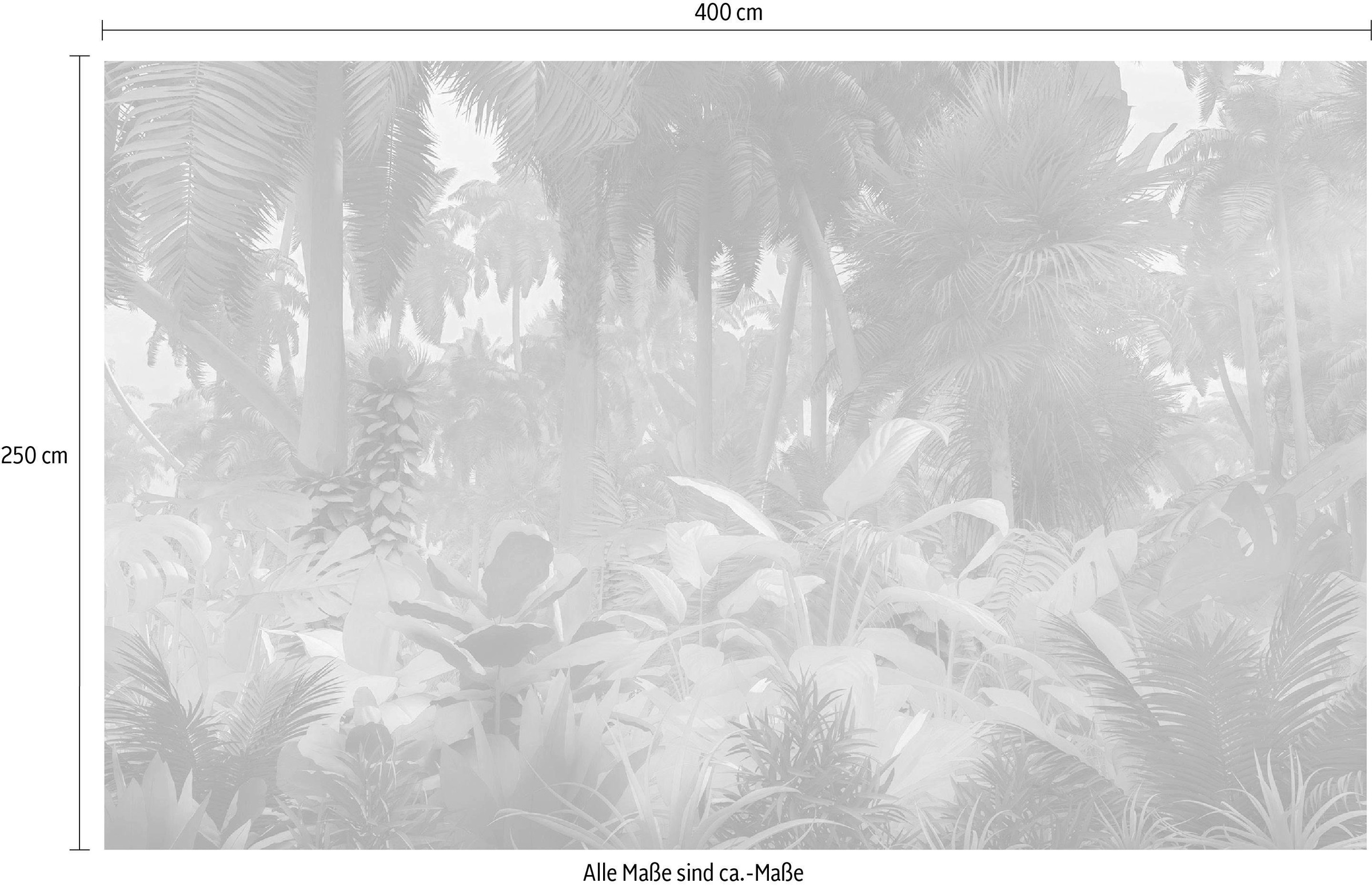 Komar Papier peint intissé »Digitaldruck Vlies -  Misty Jungle - Grösse 400 x 250 cm« imprimé Wohnzimmer, Schlafzimmer
