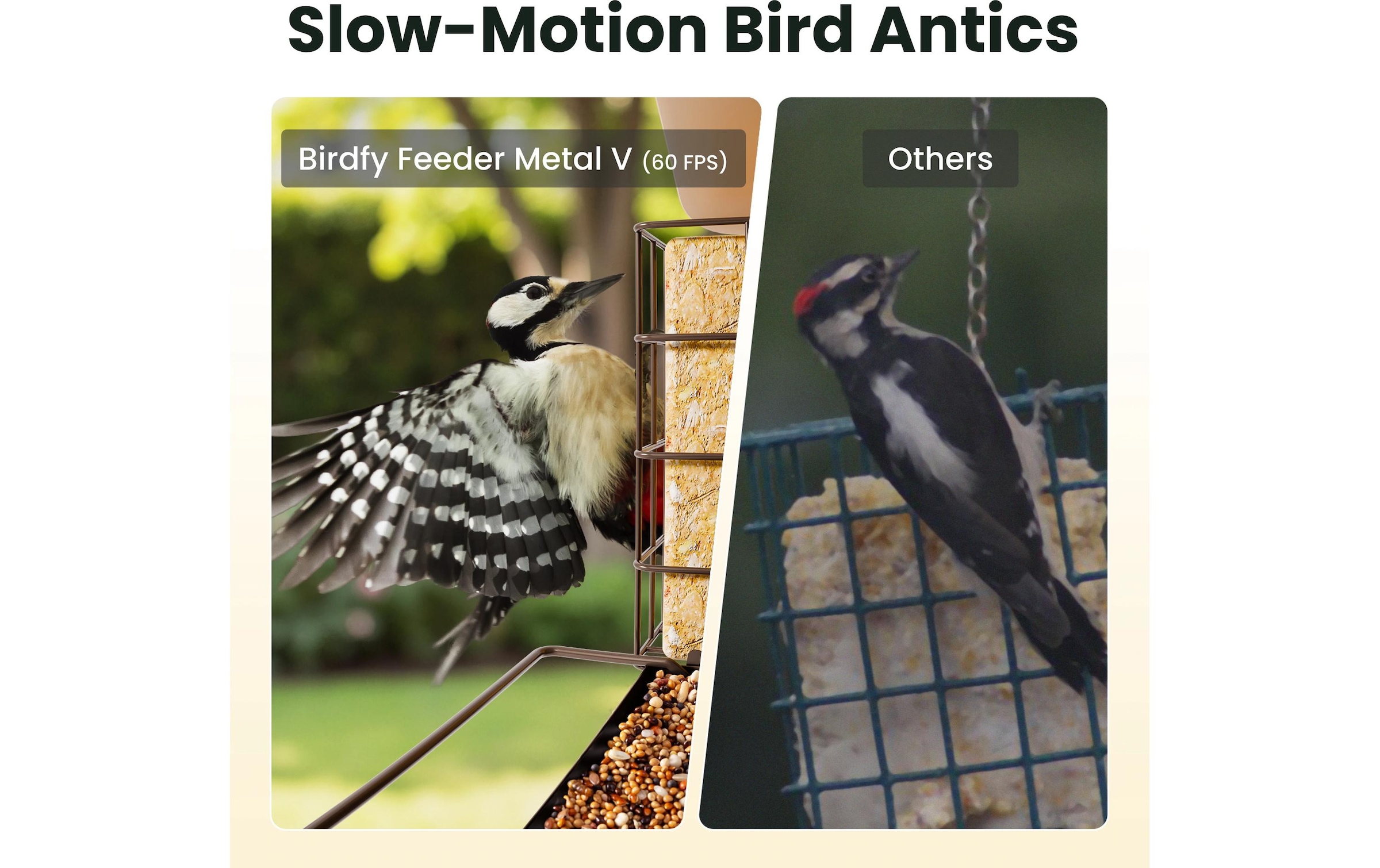 Birdfy Distributeur de nourriture »Metall V 1080PHD mit Kamera«