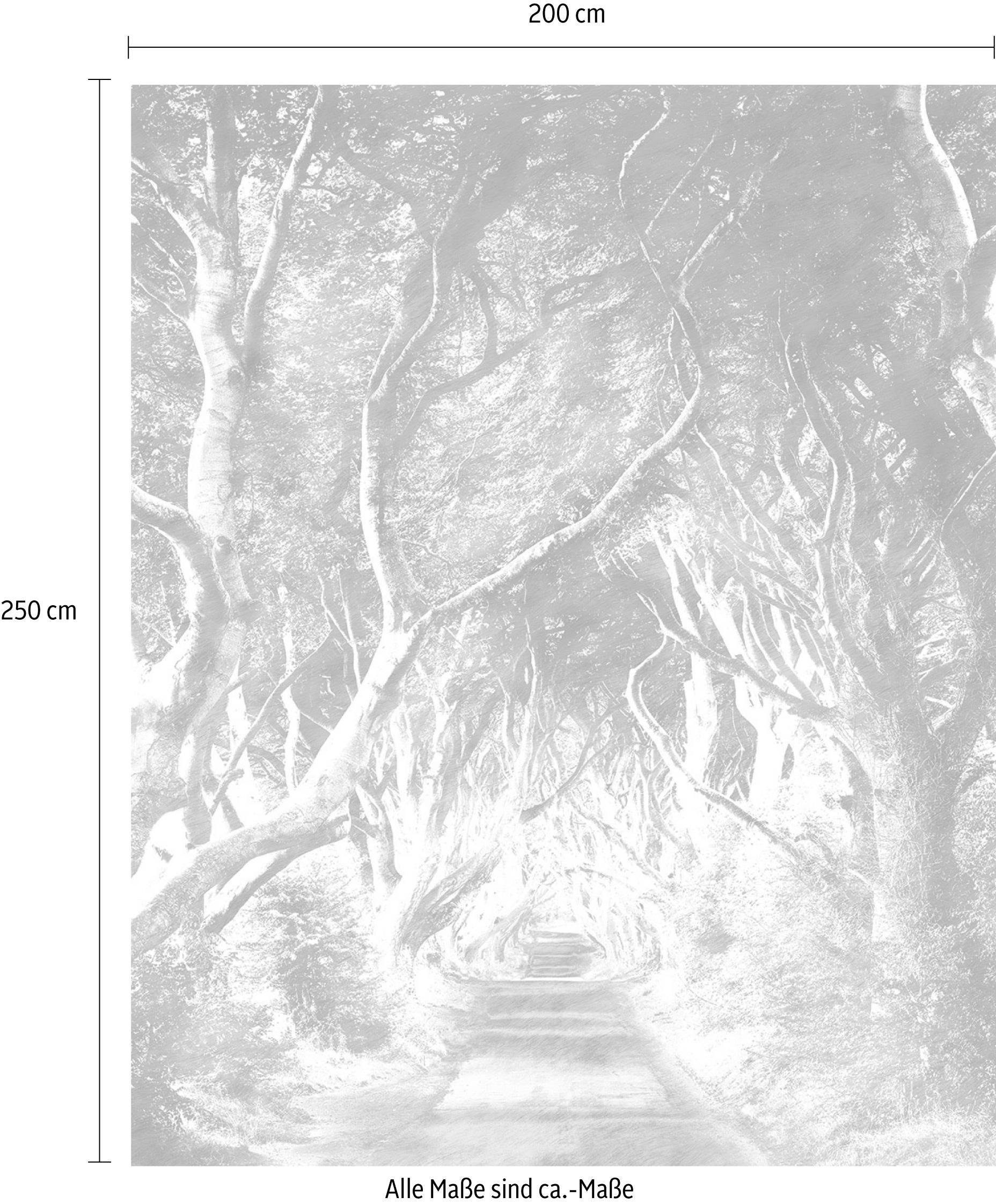 Komar Vliestapete »Digitaldruck Vlies -  Alley - Grösse 200 x 250 cm« bedruckt glatt Wohnzimmer, Schlafzimmer