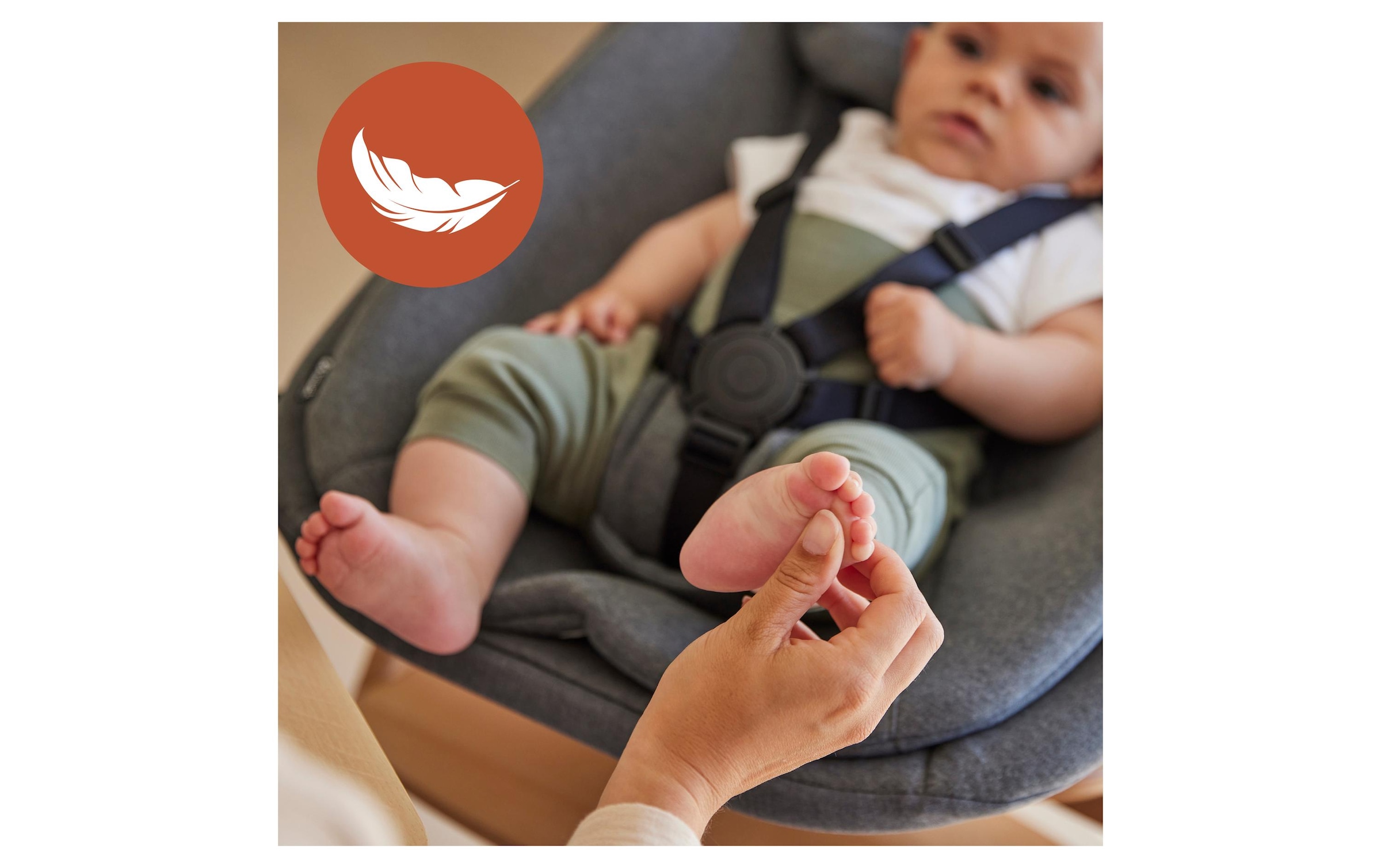 Hauck Chaise haute »Hochstuhl Alpha+ Pro, mit Newborn-Aufsatz« () dieses Produkt besteht aus FSC®-zertifiziertem Material