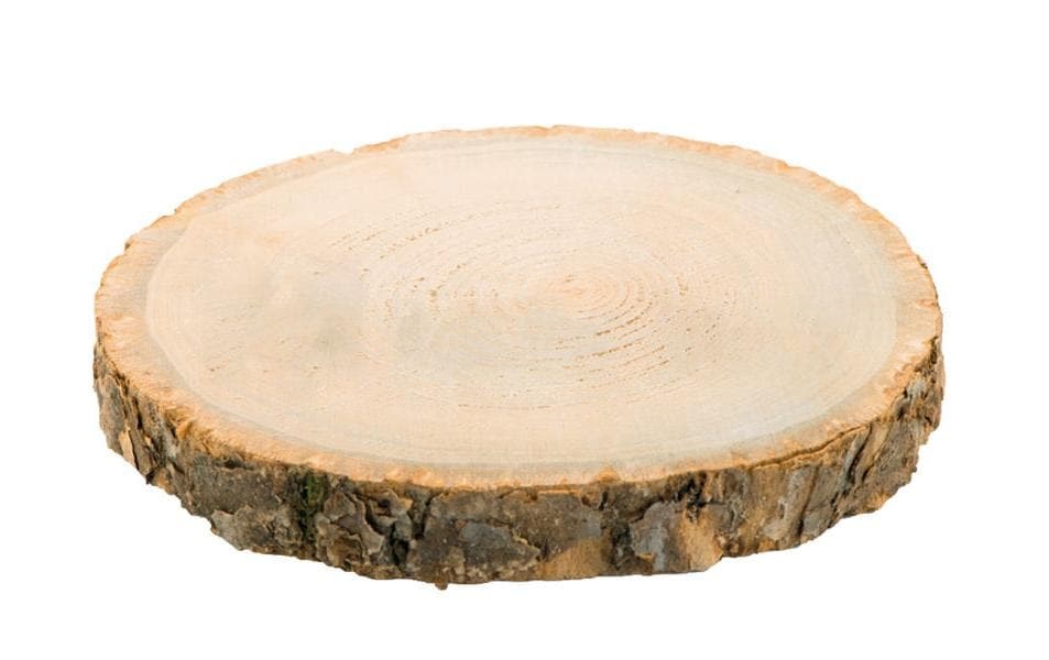 Image of Dekobaum "Holzscheiben"