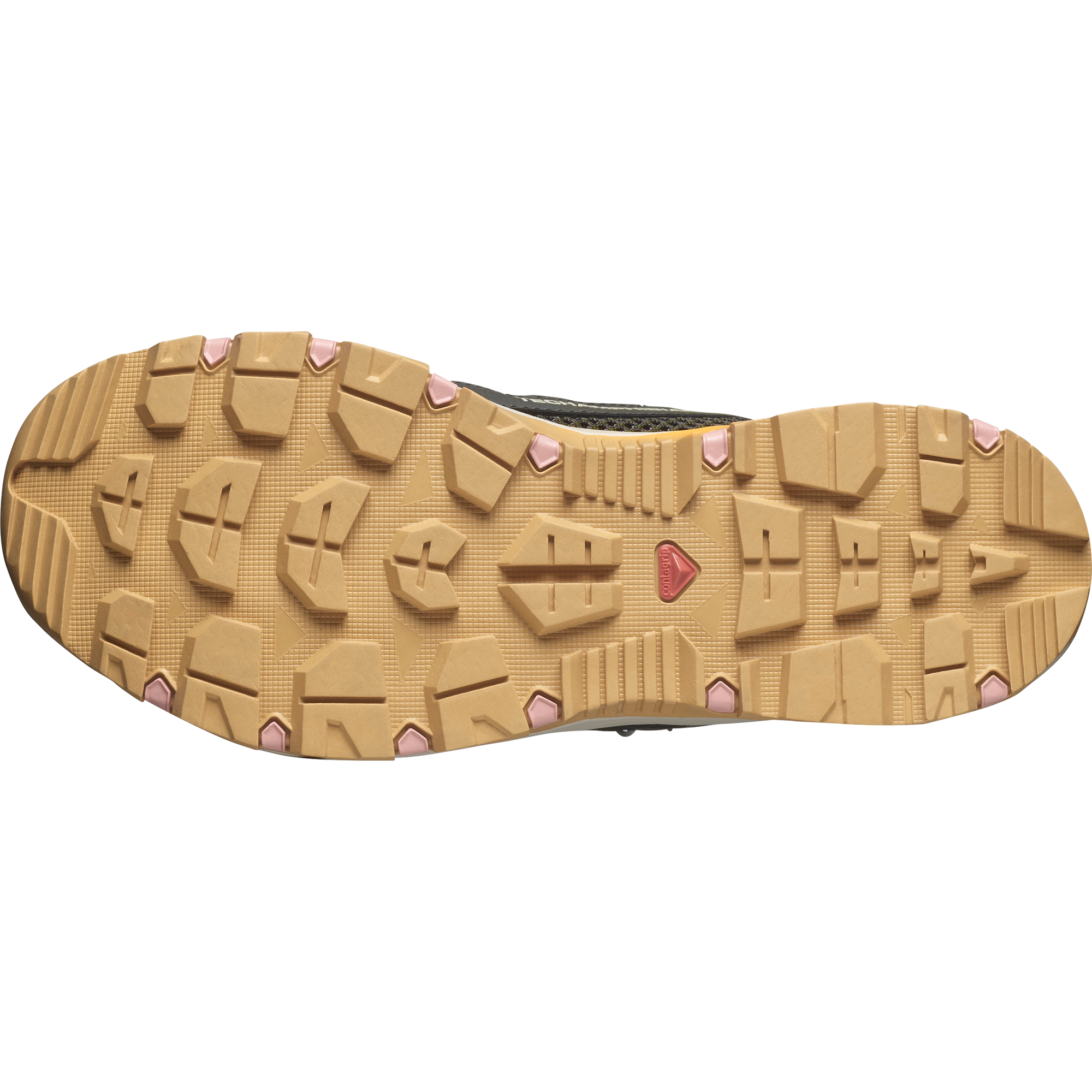 Salomon Chaussure à eau »TECHAMPHIBIAN 5«