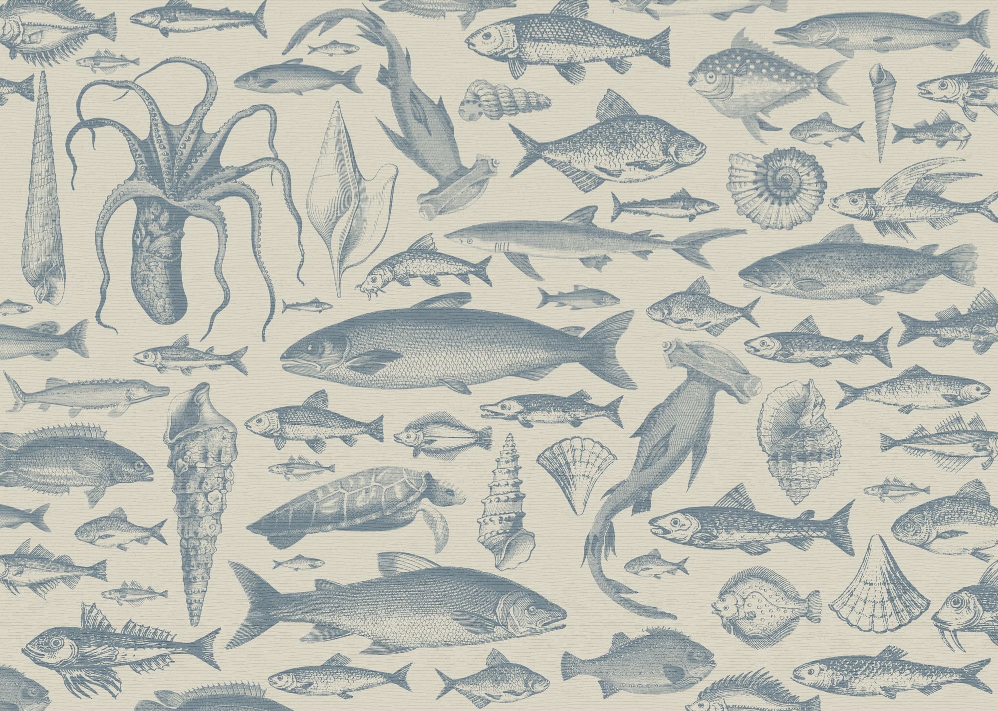 Komar Fototapete »Vlies Fototapete - Sea Study - Grösse 350 x 250 cm« Motiv | bedruckt glatt