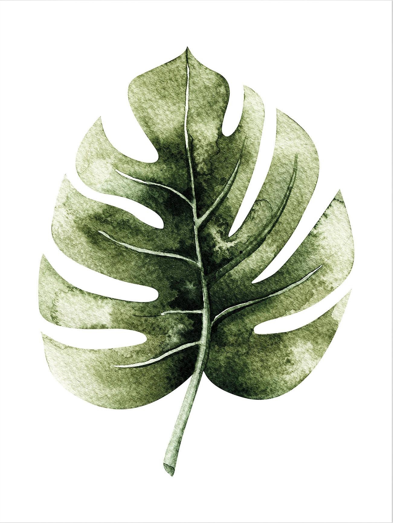 Image of Wall-Art Poster »Kvilis - Monstera Leaf«, Poster, Wandbild, Bild, Wandposter bei Ackermann Versand Schweiz