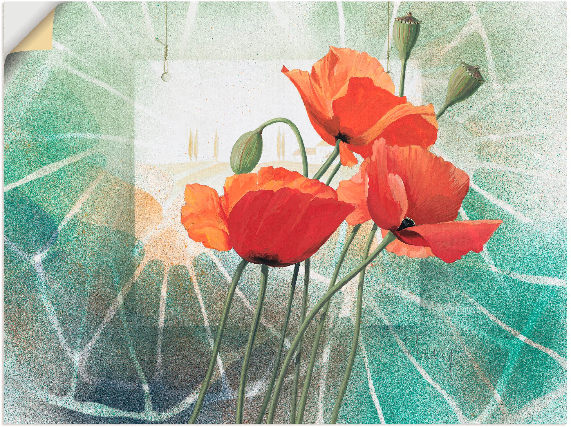 Image of Artland Wandbild »Spiel der Mohnblüten«, Blumen, (1 St.), in vielen Grössen & Produktarten -Leinwandbild, Poster, Wandaufkleber / Wandtattoo auch für Badezimmer geeignet bei Ackermann Versand Schweiz