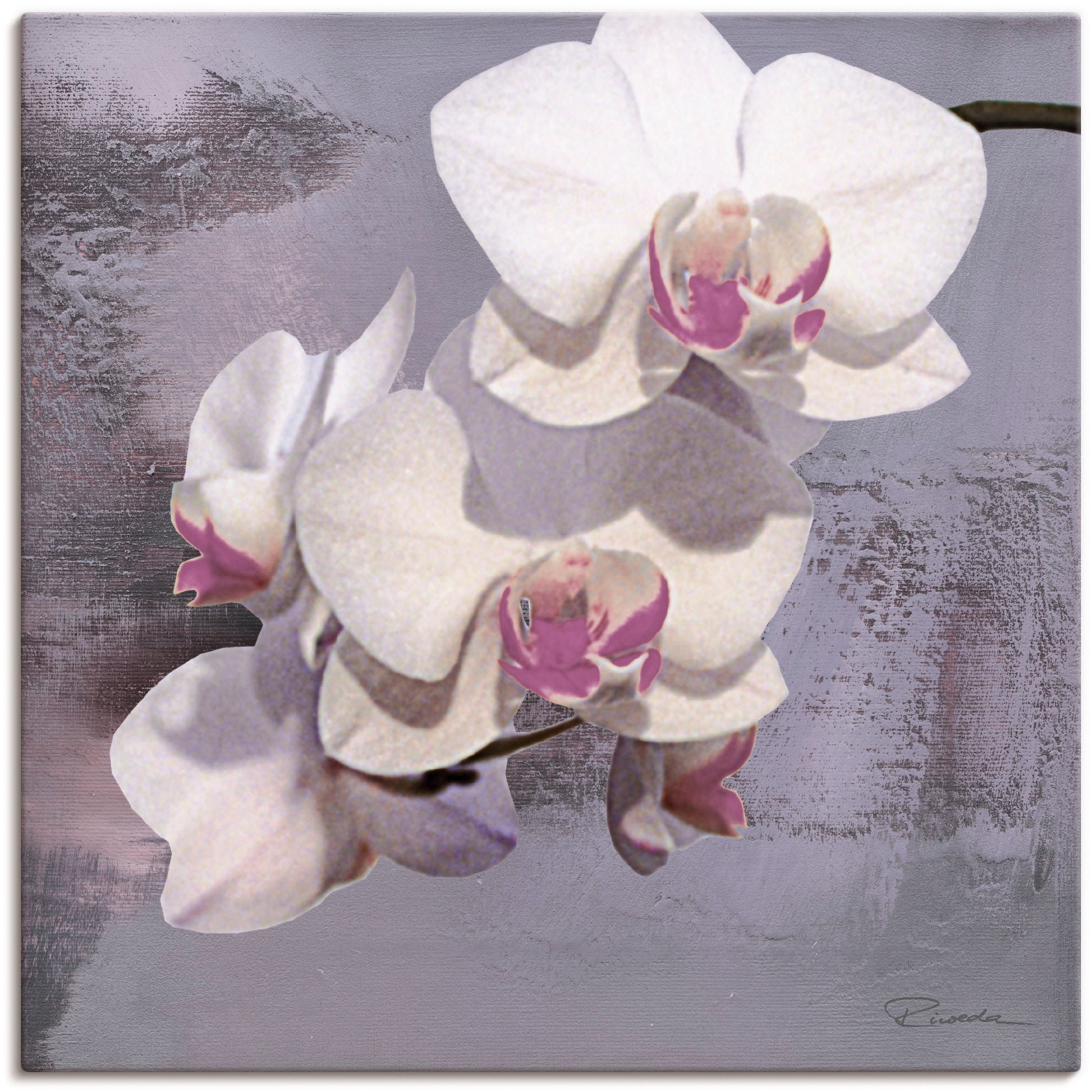 Leinwandbild »Orchideen vor Violett II«, Blumen, (1 St.), auf Keilrahmen gespannt