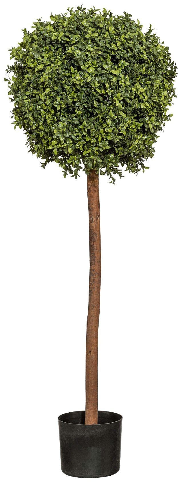 Image of Creativ green Kunstpflanze »Buchskugelbaum«, (1 St.) bei Ackermann Versand Schweiz