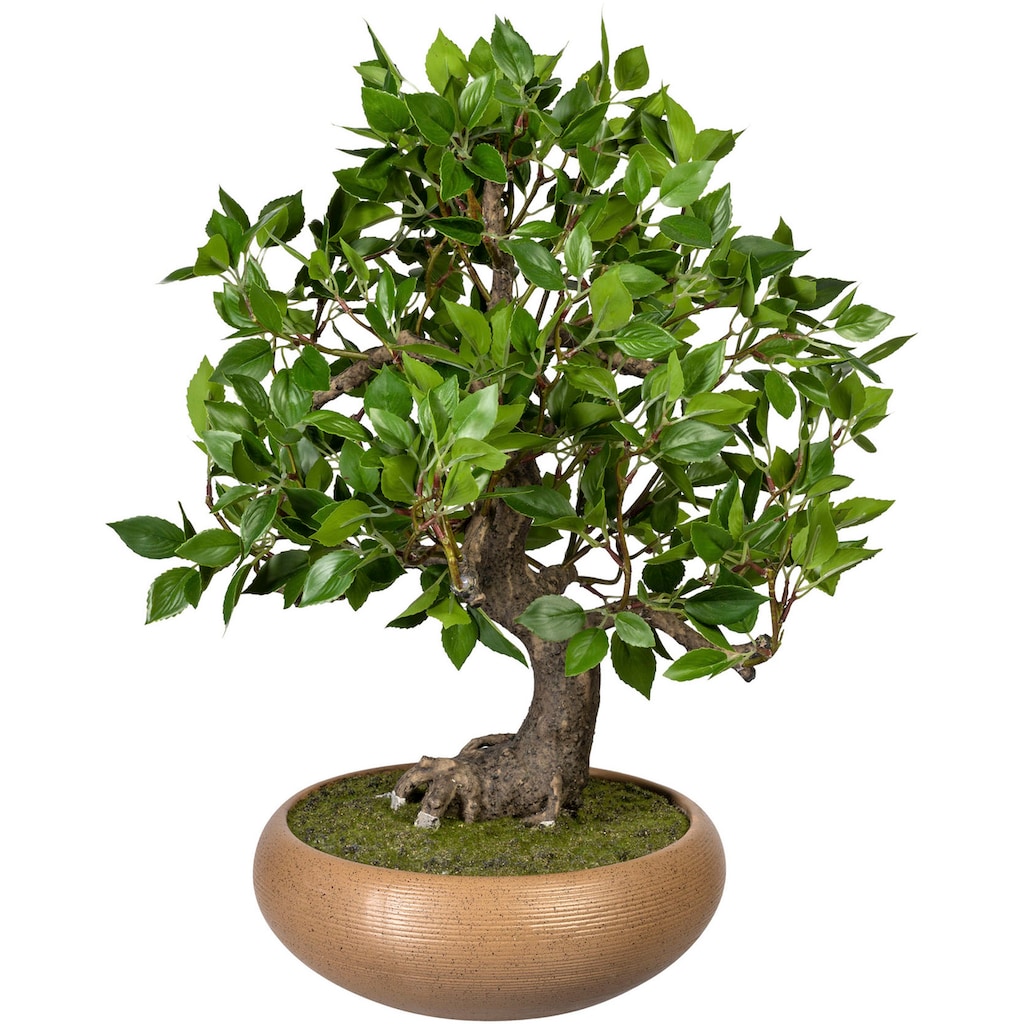 Creativ green Kunstbonsai »Bonsai Ficus«
