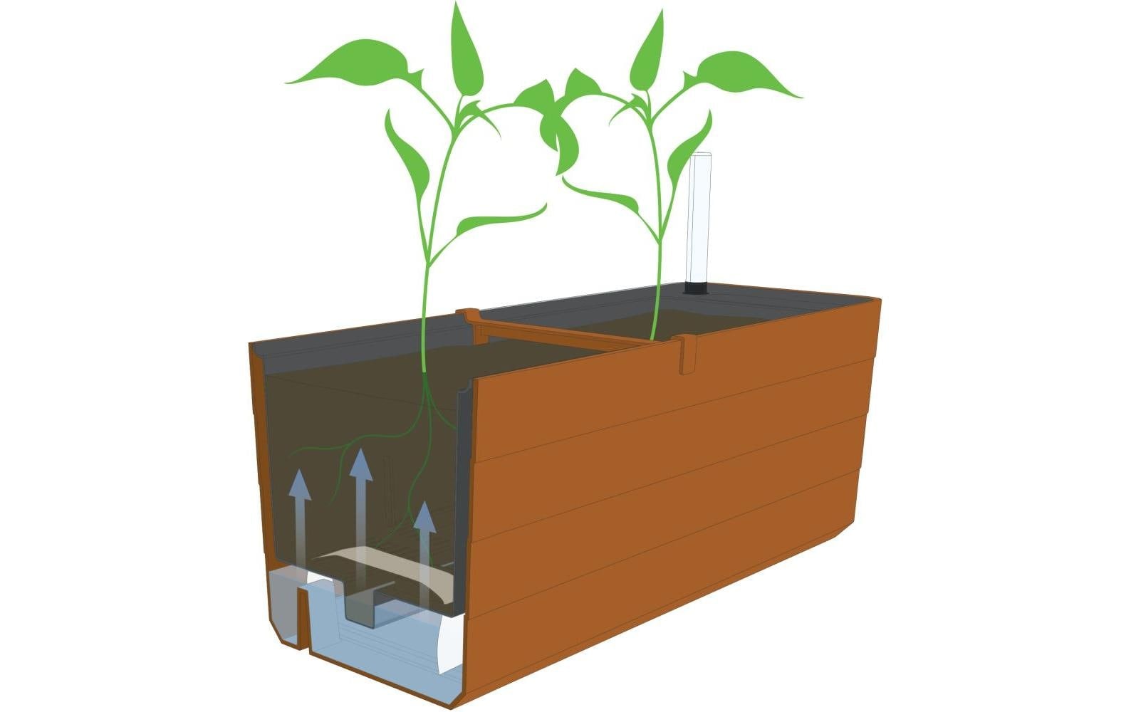   Bac à fleurs »Plastia Berberis 80 cm«