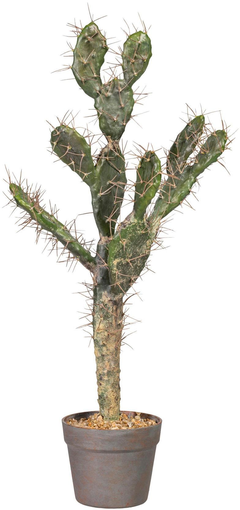 Image of Creativ green Kunstpflanze »Kaktus Opuntie« bei Ackermann Versand Schweiz