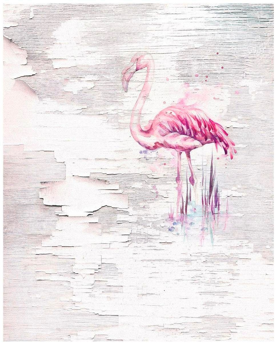 Image of Komar Vliestapete »Pink Flamingo«, tropisch bei Ackermann Versand Schweiz