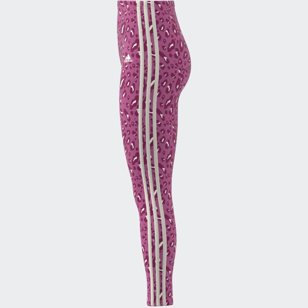 adidas Sportswear Leggings »ANML 3S LEG«, (1 tlg.)