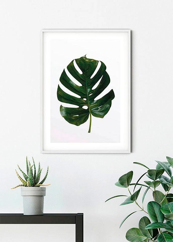 Komar Poster »Monstera Leaf«, Pflanzen-Blätter, (1 St.), Kinderzimmer, Schlafzimmer, Wohnzimmer