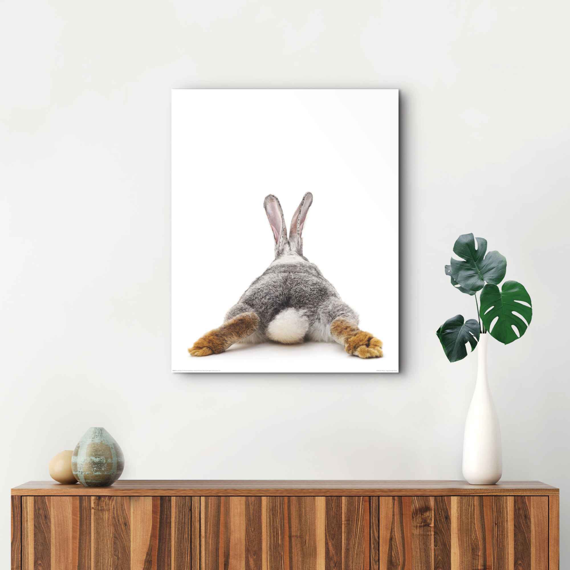 Reinders! Wandbild Kaninchen bequem (1 Hasen, Hase Rabbit Schwanz kaufen »Wandbild St.) - - - Relax«